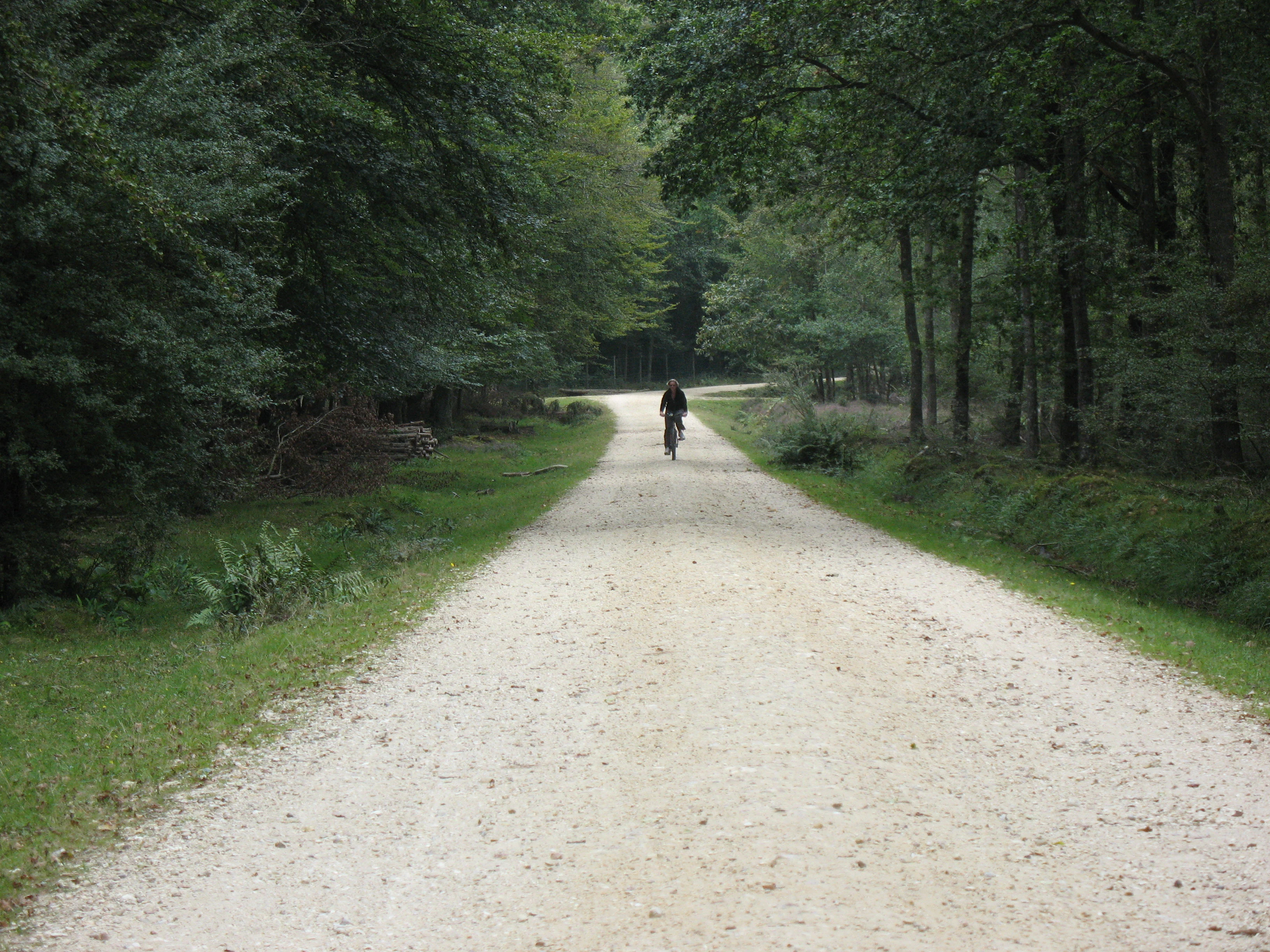 Gravel trail surrounded by dense forest with a cyclist riding away in the distance
