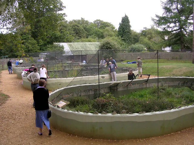 People walking on a dirt path near concrete enclosures with wire mesh tops in a park setting with trees and a greenhouse structure