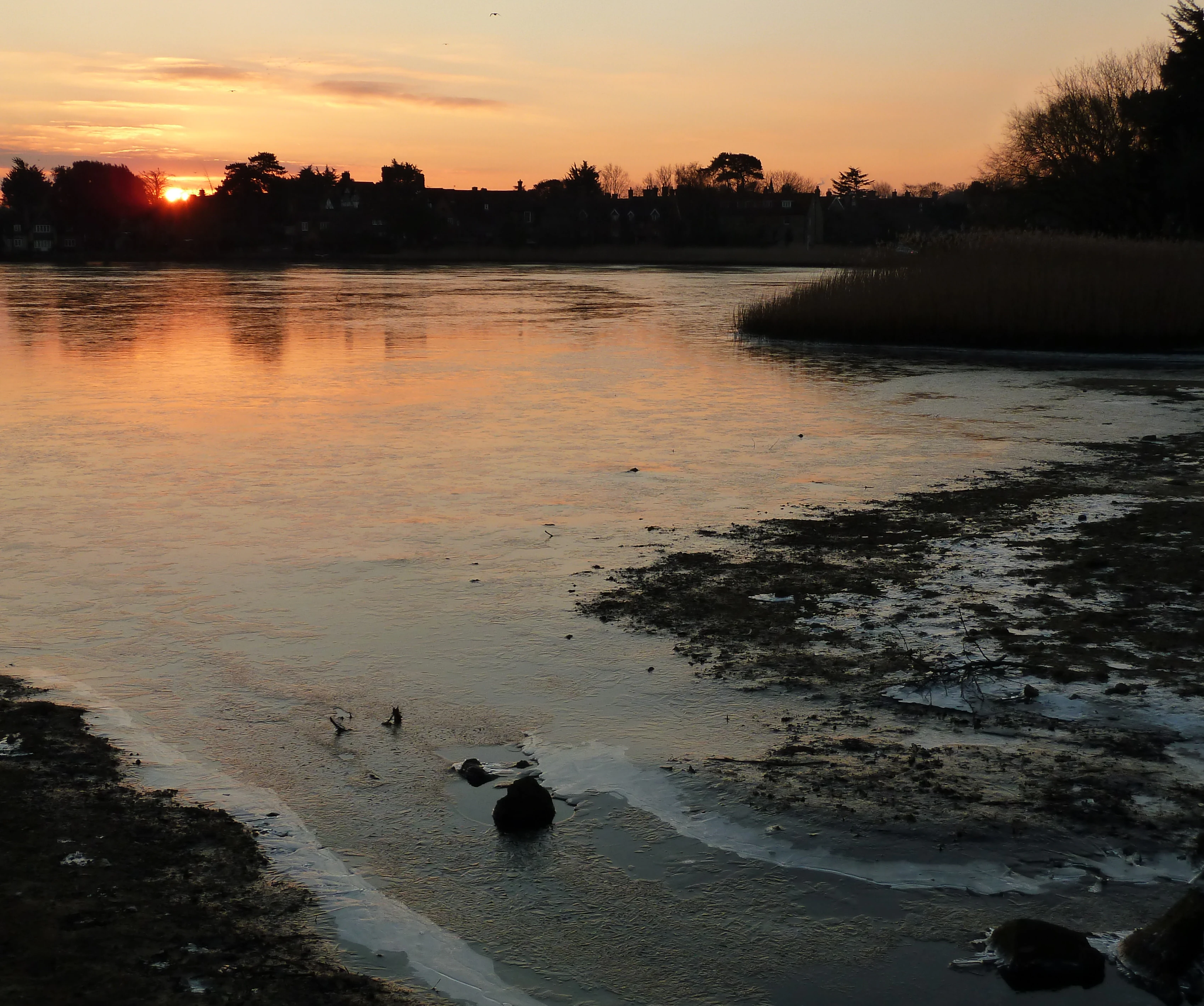 Sunset over a pond with ice patches on the shoreline, surrounded by grass and trees