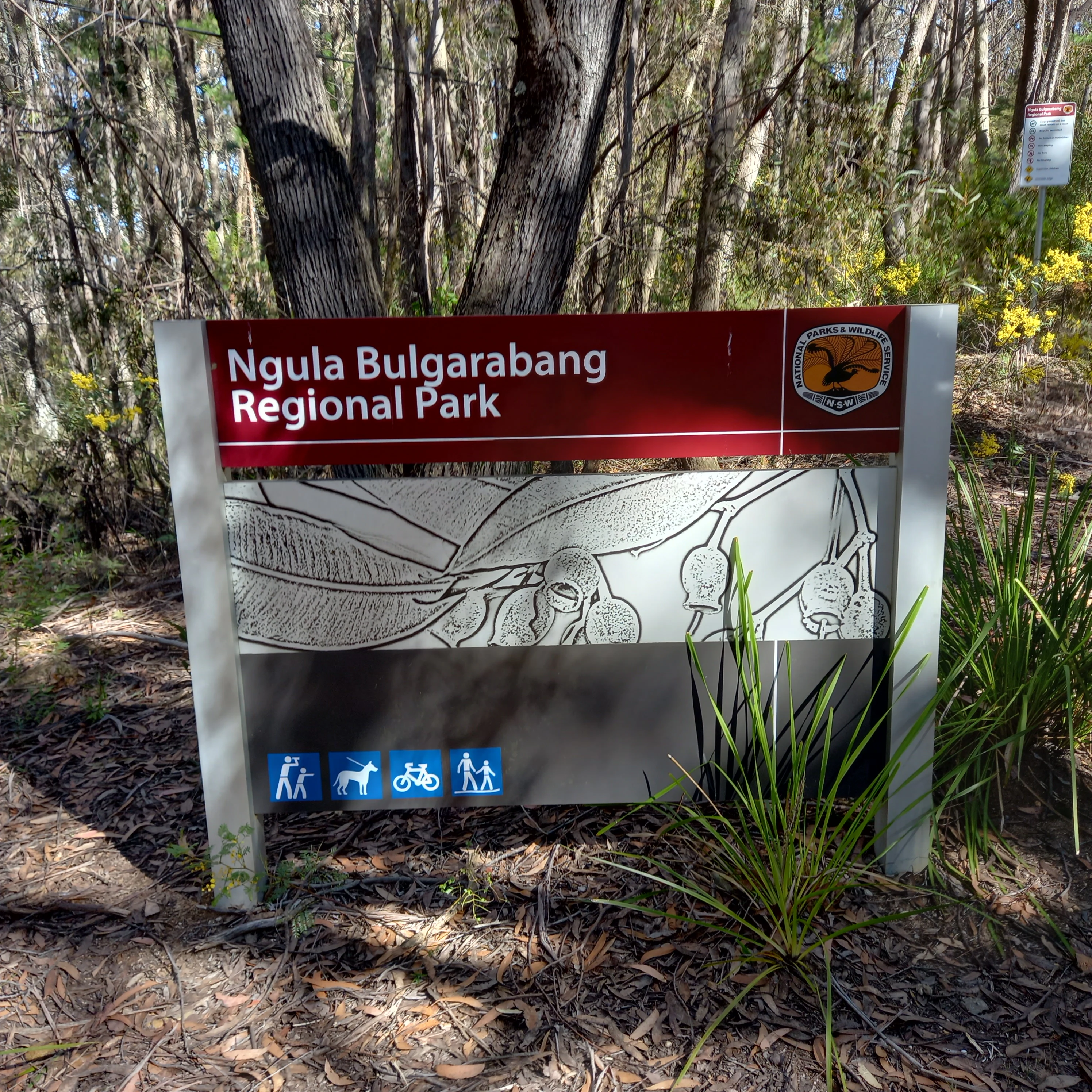 An eye level shot of a rectangular park sign for Ngula Bulgarabang Regional Park with a dark red top bar, a line drawing of eucalyptus leaves and gumnuts in the center, and blue activity icons at the bottom.