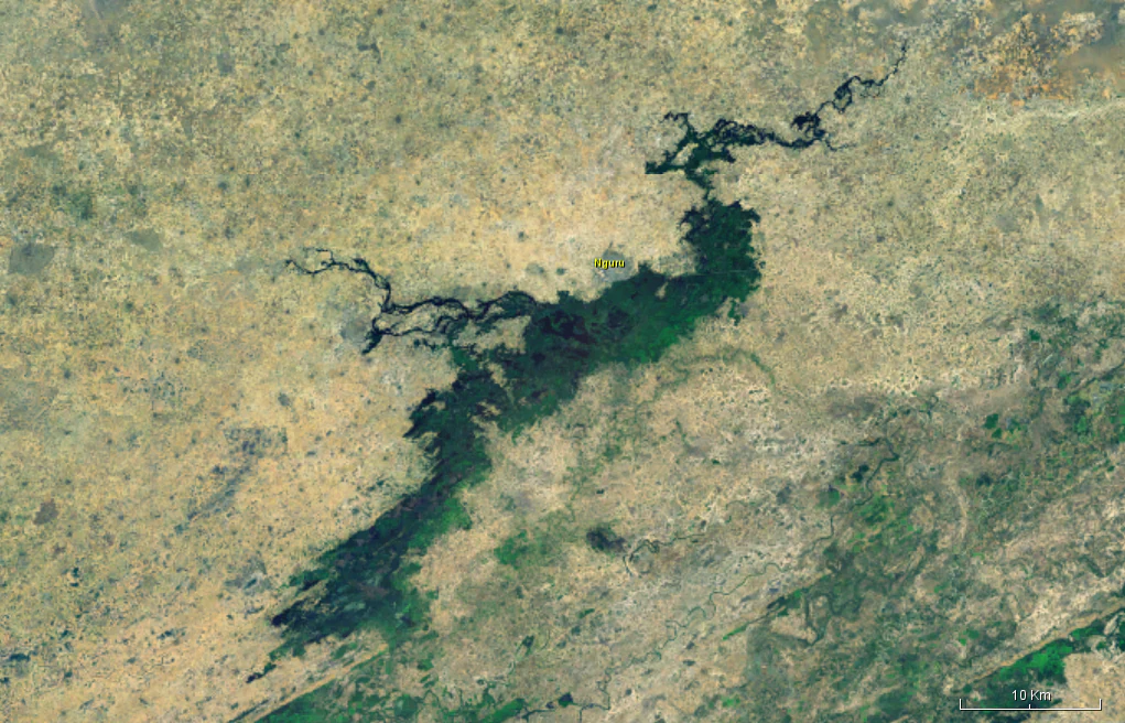Satellite imagery showing the Hadejia-Nguru wetlands area with the dark blue form of Nguru Lake surrounded by arid landscape.