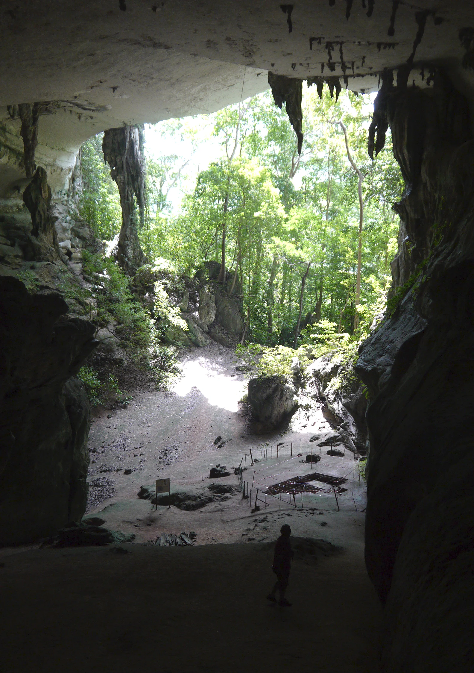Cave entrance with rocky interior leading to a forested area, a person standing at the threshold