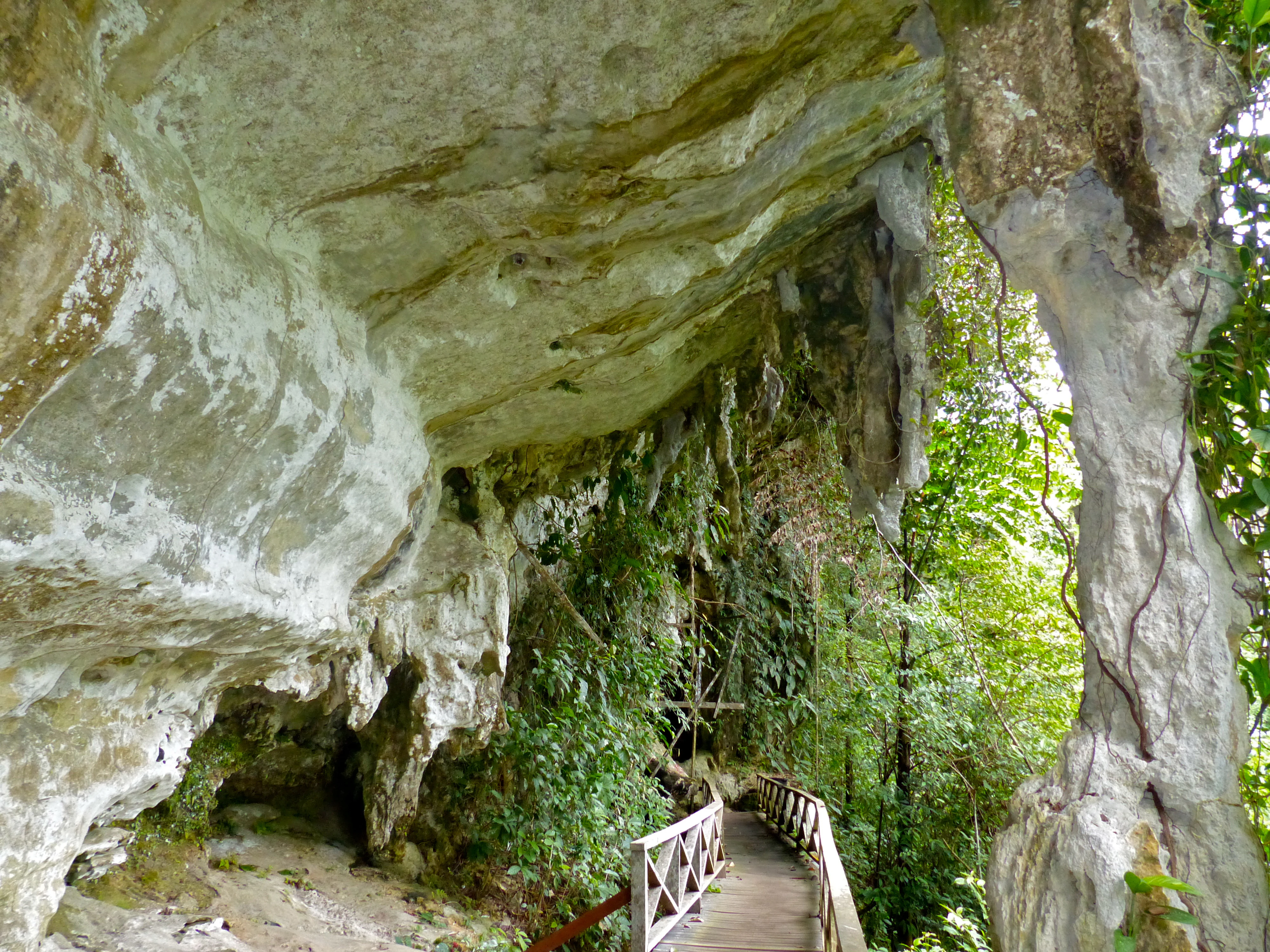 Cave entrance with wooden walkway, limestone rock formations, and lush green vegetation