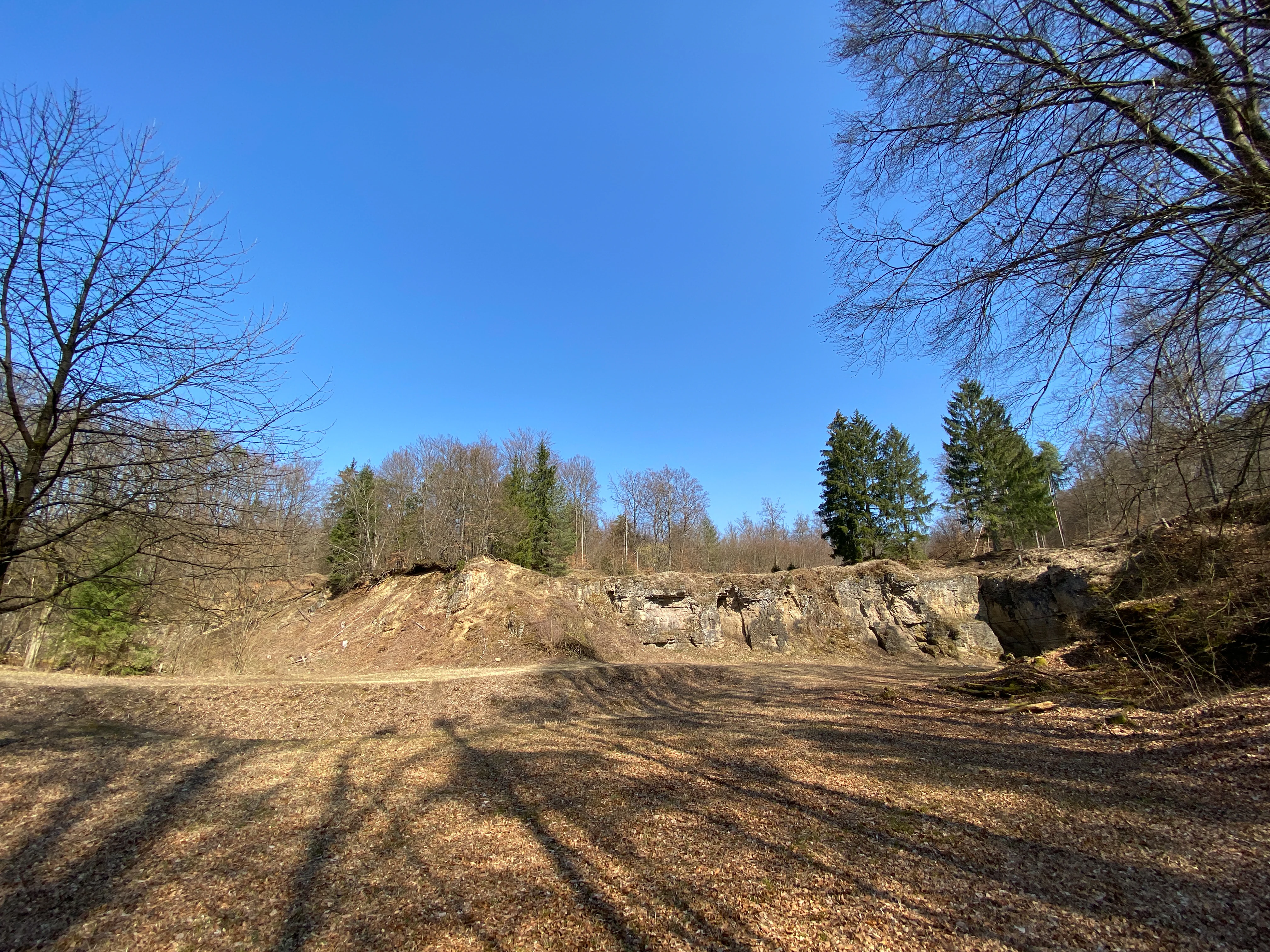 An eye level, wide view of a limestone quarry wall with sparse forest, clear blue sky, and a dry ground surface in the foreground.