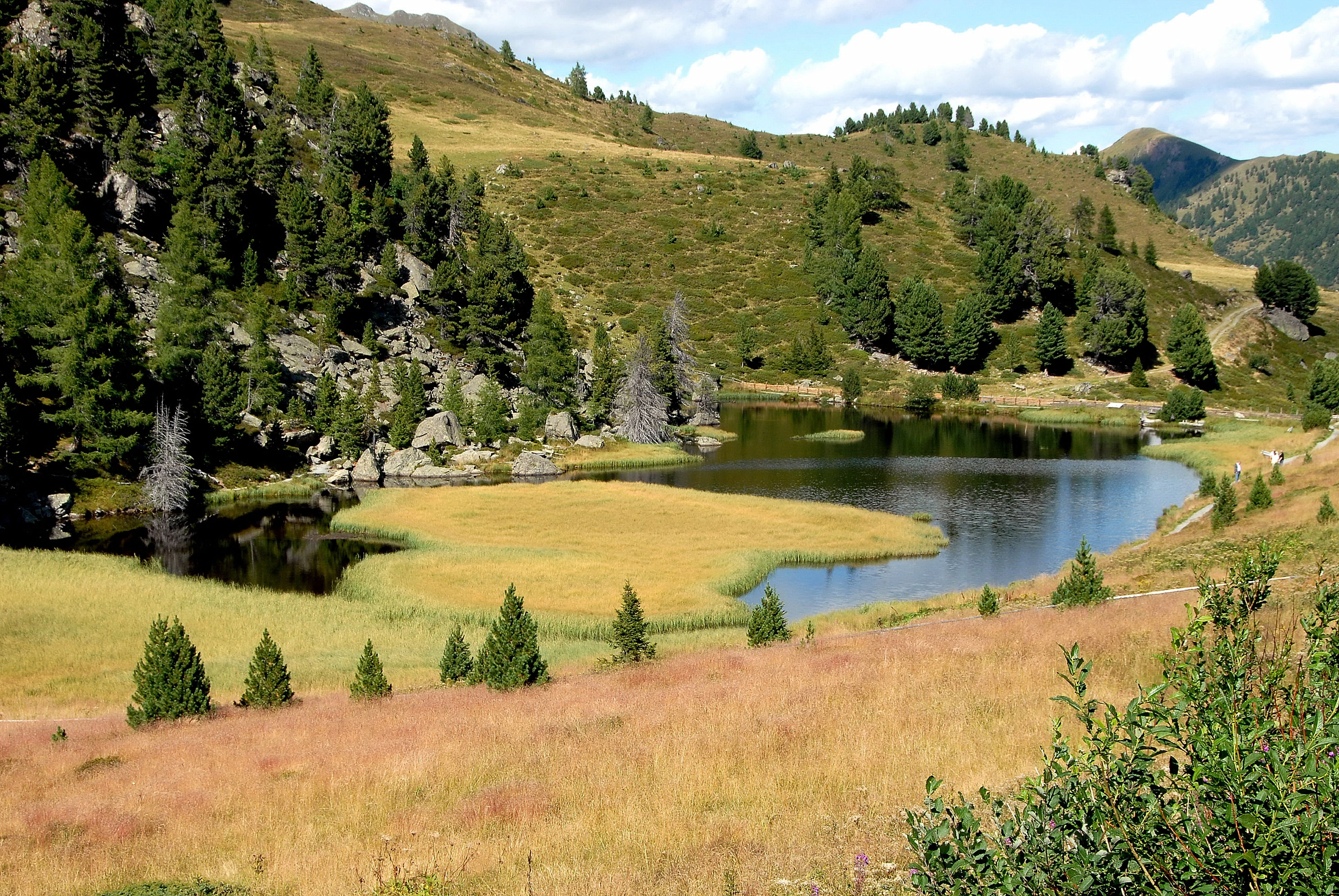 A high-angle view of a small mountain lake called Windebensee surrounded by gentle, grass-covered slopes and sparse coniferous trees.