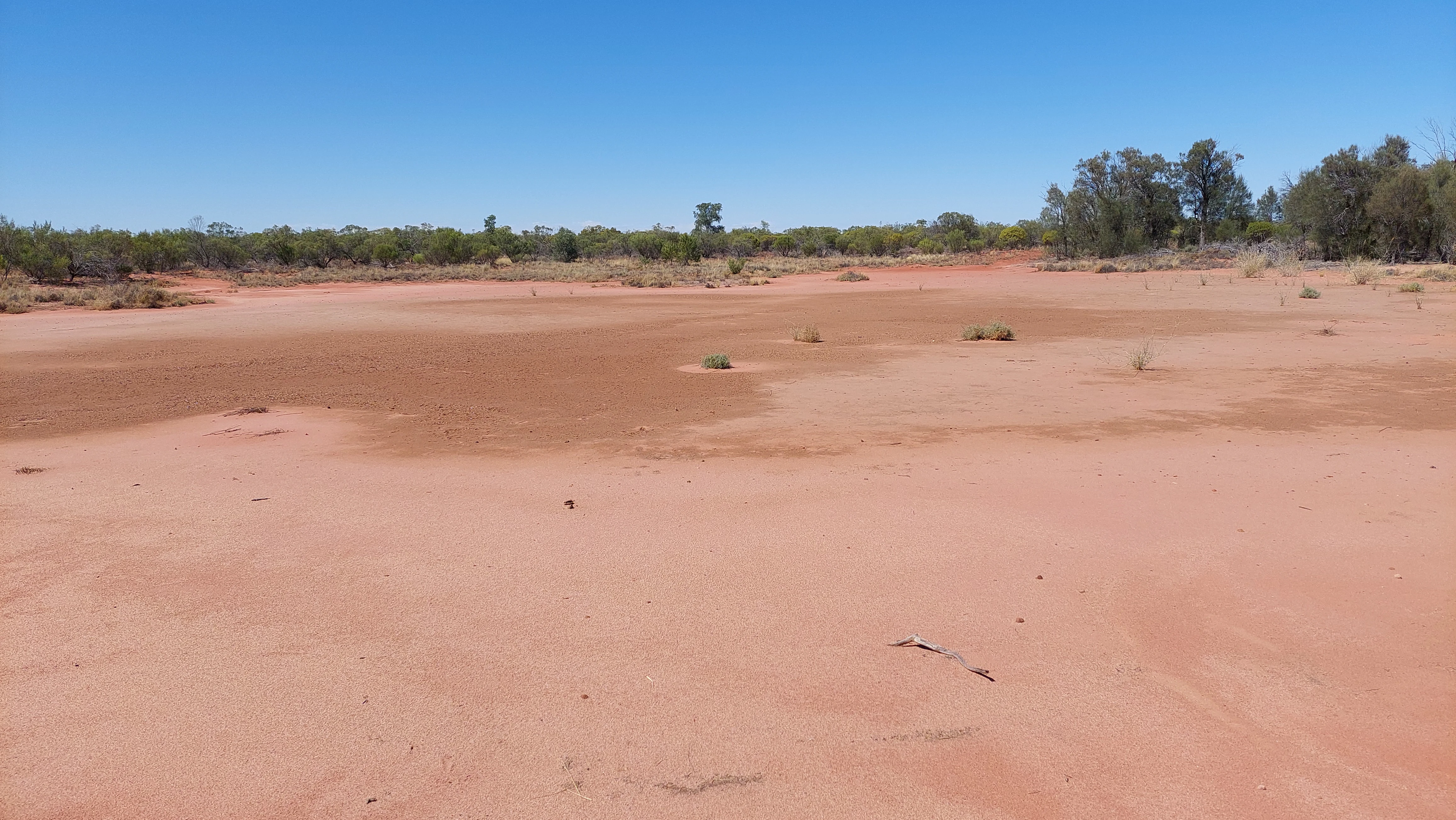 A wide, flat, arid expanse of reddish-brown clay soil under a clear blue sky, with a line of trees in the background.