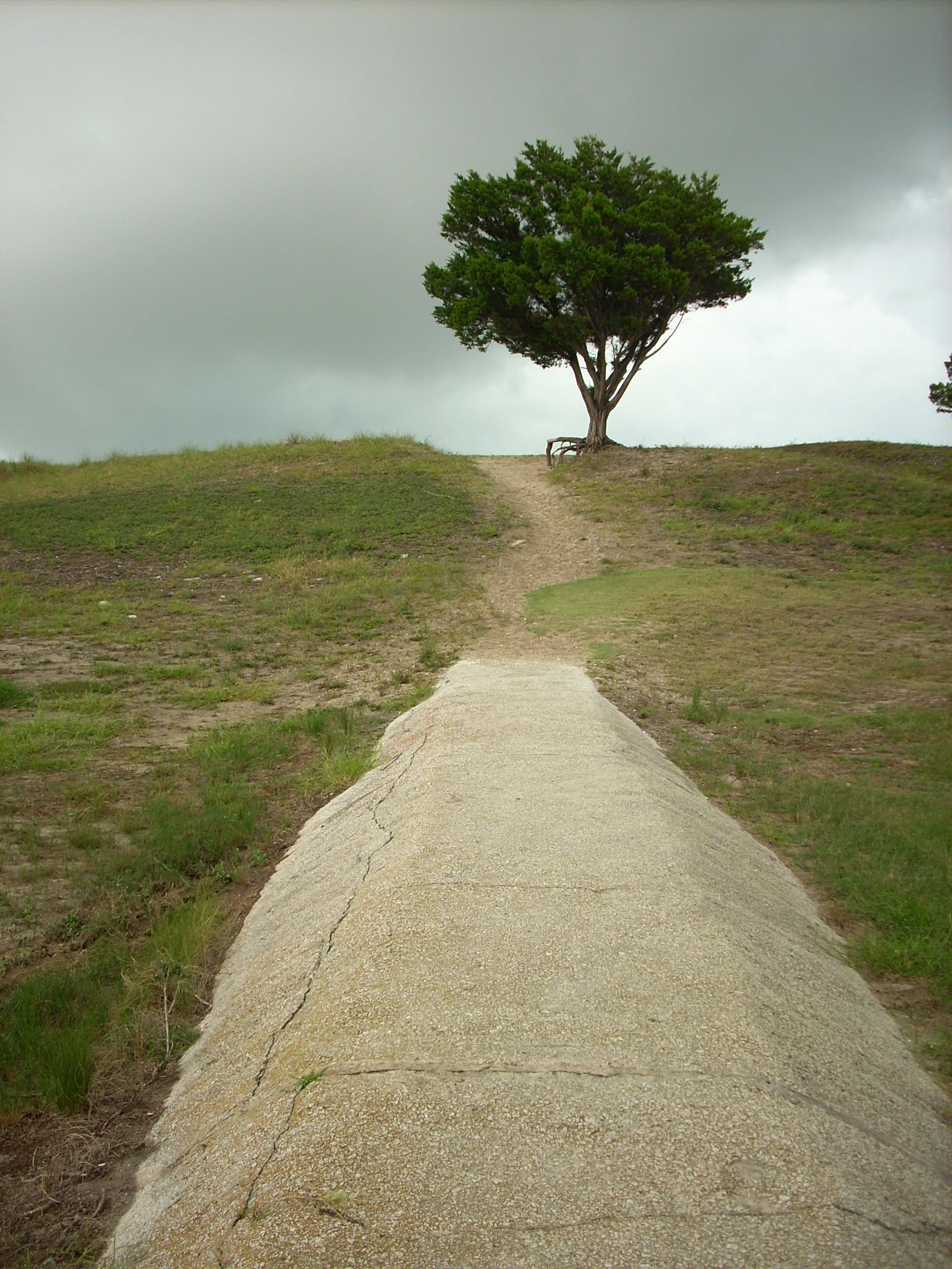 A concrete path leads toward a grassy hill where a single tree stands against a cloudy sky.