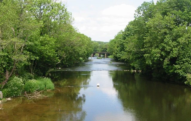A peaceful river flows through the center of the frame, lined on both sides by dense green deciduous trees. A small road bridge is visible in the distant center of the composition.