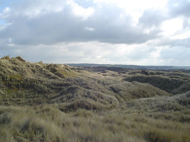 A wide, eye-level view of undulating sand dunes covered in marram grass under a cloudy sky.