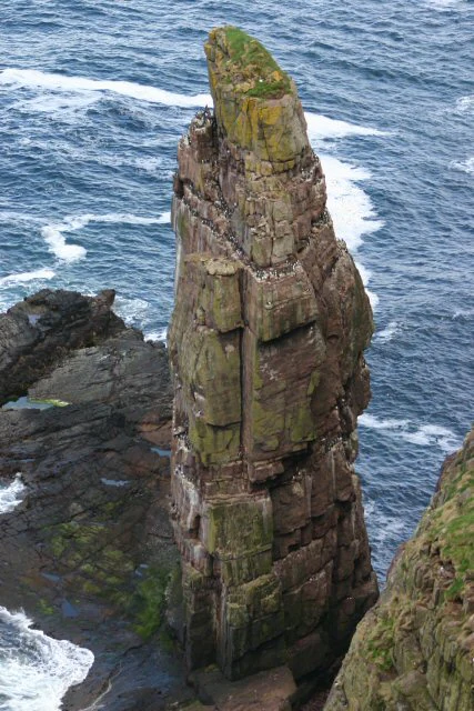 A tall, narrow sea stack of layered rock rising from blue ocean water with white waves, viewed from above. The rock has green vegetation on top and seabirds are visible on its ledges.