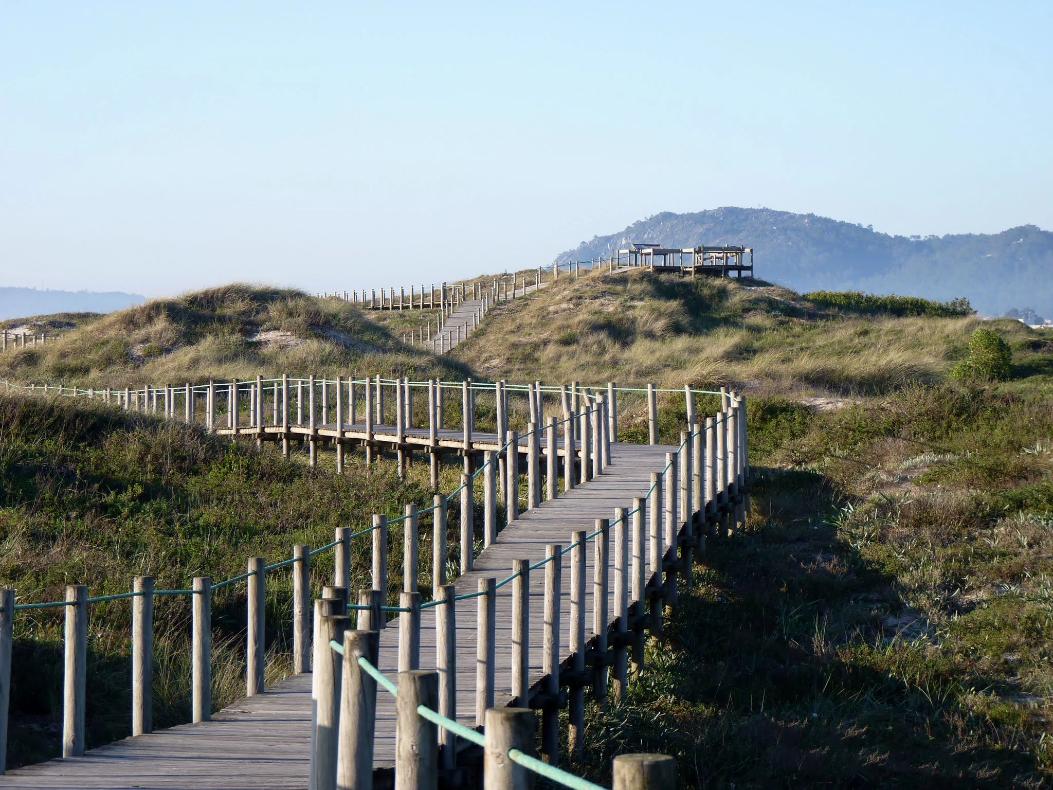 Wooden boardwalk with rope railing running through grassy coastal dunes under clear blue sky