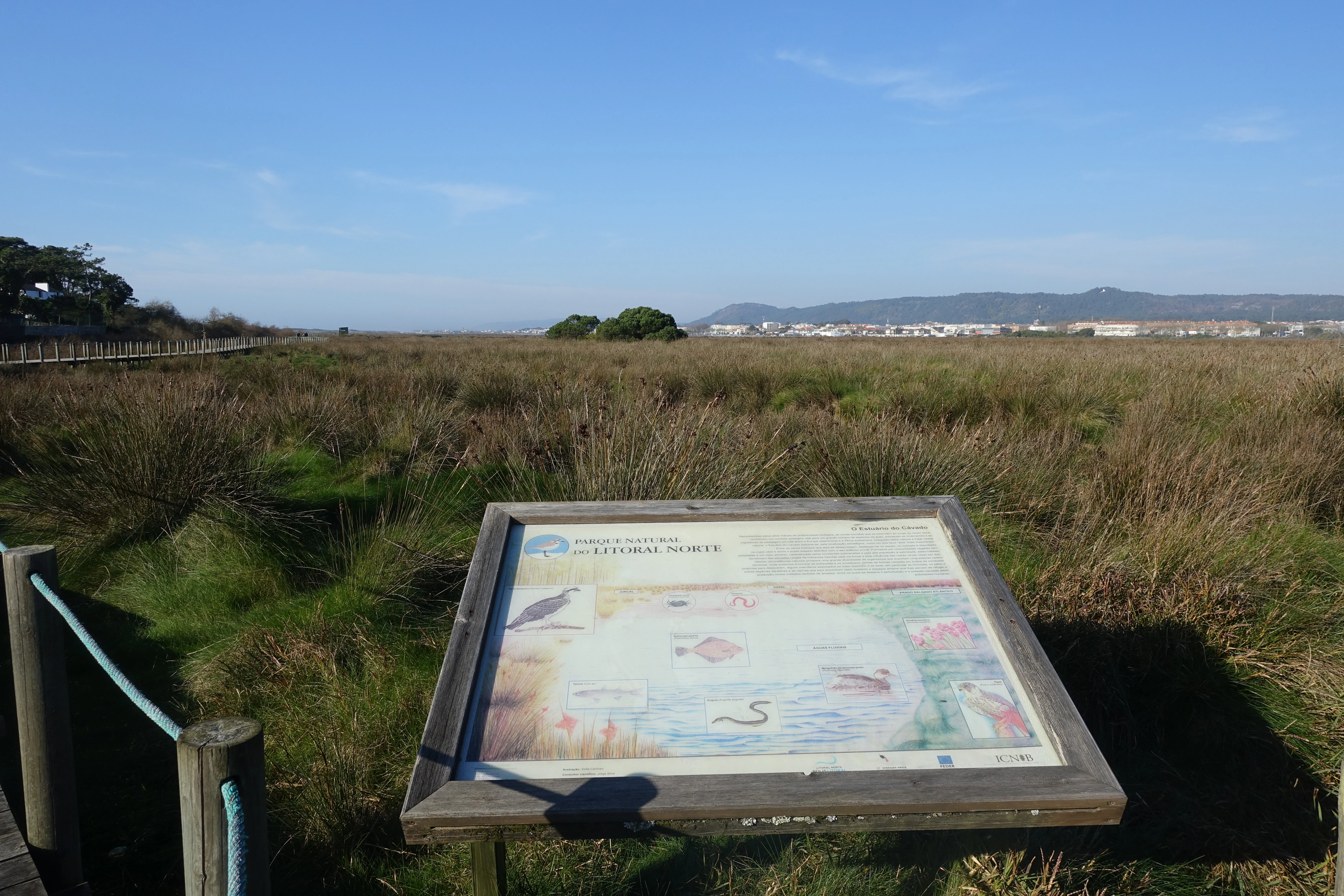 Wooden signboard displaying informational content with maps and illustrations, set in a grassy coastal landscape with distant mountains
