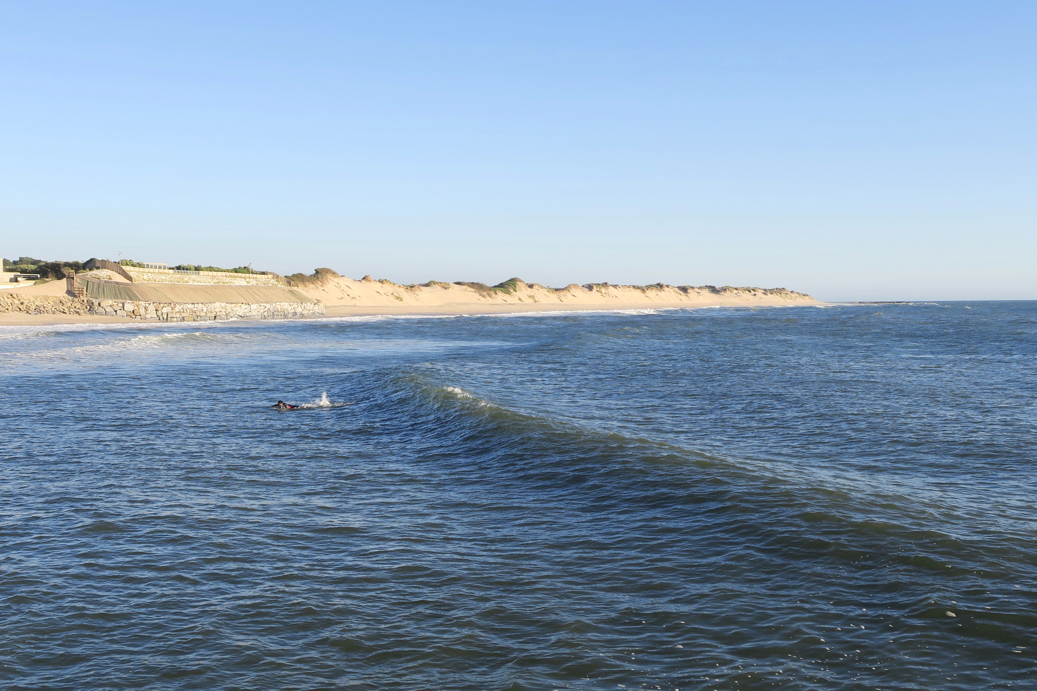 Ocean waves with a person swimming, sandy beach, and coastal dunes under a clear blue sky