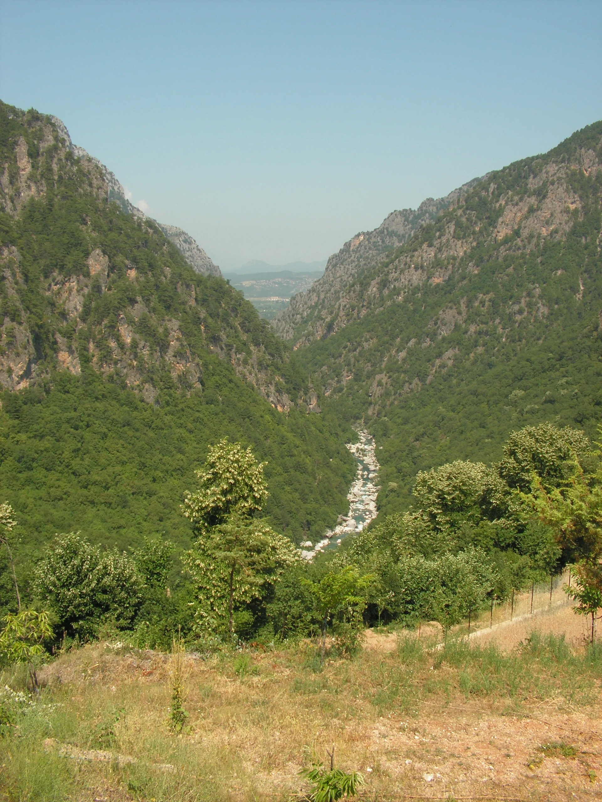 Una vista amplia desde un ángulo elevado que mira hacia un cañón profundo de paredes escarpadas cubierto de un denso bosque verde, con un lecho rocoso de río visible en la parte inferior.