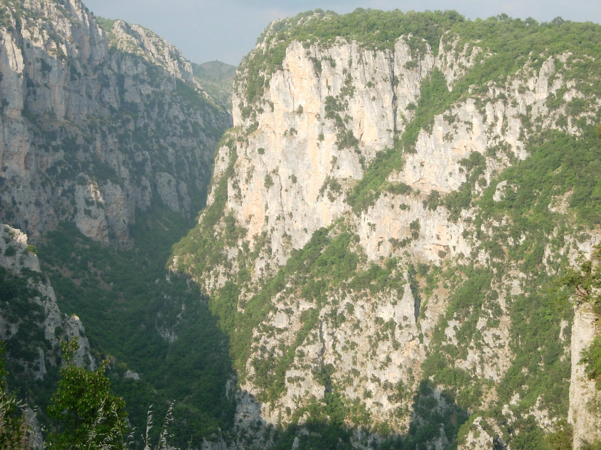 Una toma amplia y vertical del desfiladero de Vikos en Grecia, que muestra profundos acantilados de piedra caliza cubiertos de vegetación verde.