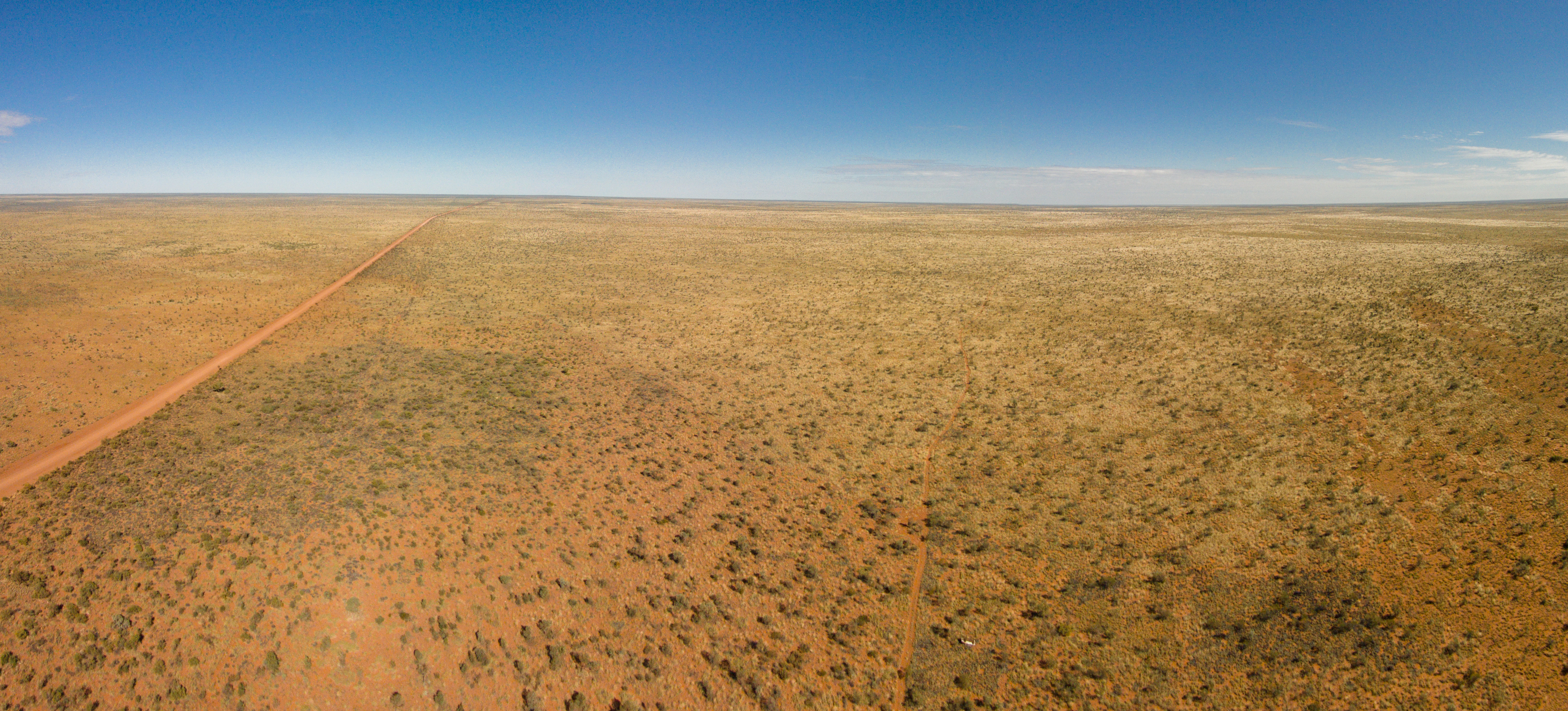 Vista panorámica del paisaje plano y árido del desierto de Tanami bajo un cielo azul despejado, con tierra rojiza y parches de arbustos bajos.