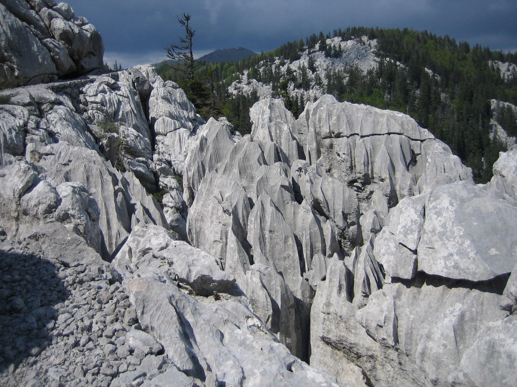 Limestone rock formations with deep grooves and ridges in Northern Velebit National Park.