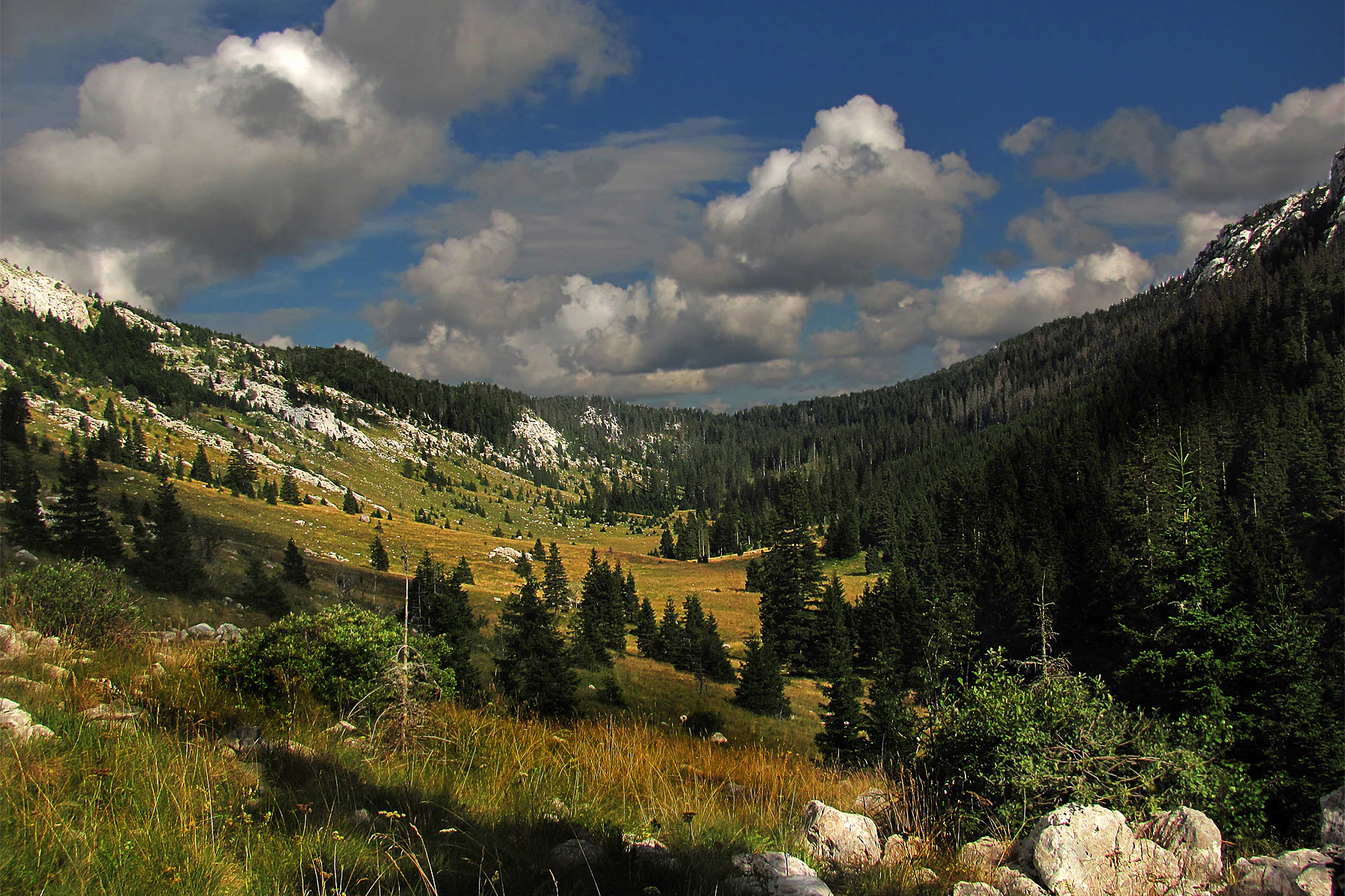 A wide landscape view of Lomska Duliba, a karst depression in Northern Velebit National Park, showing mountain valleys, dense forests, and a partly cloudy sky
