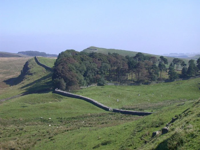 Stone wall traversing grassy hillside with trees and distant hills under clear sky