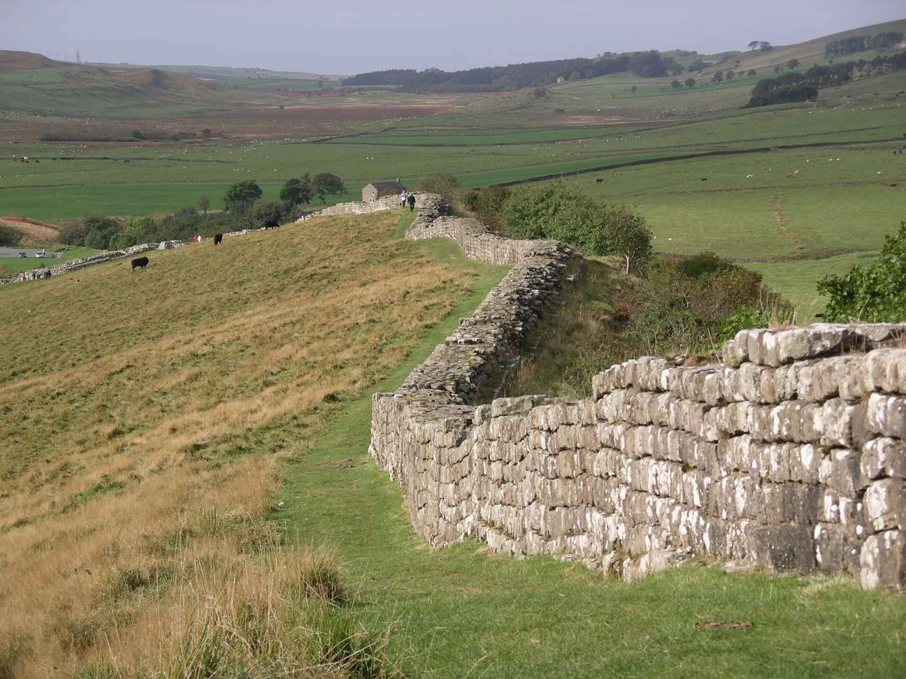 Stone wall running across a grassy hillside with open fields in the background