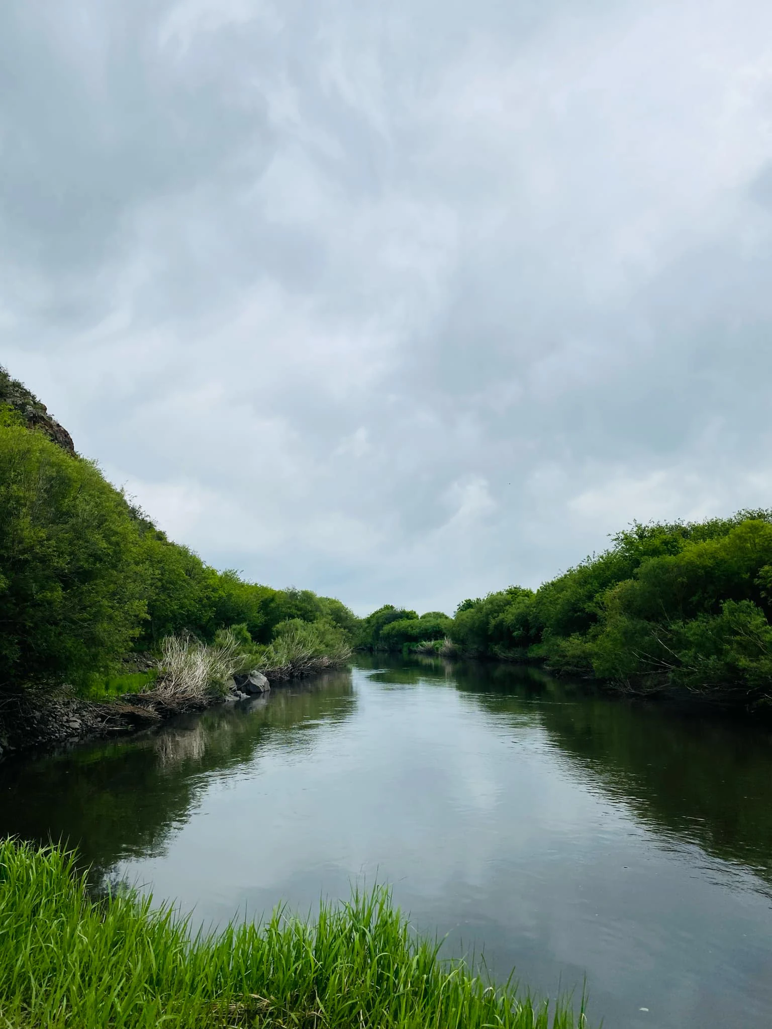 A calm, winding river flowing through a lush green valley under a cloudy sky.