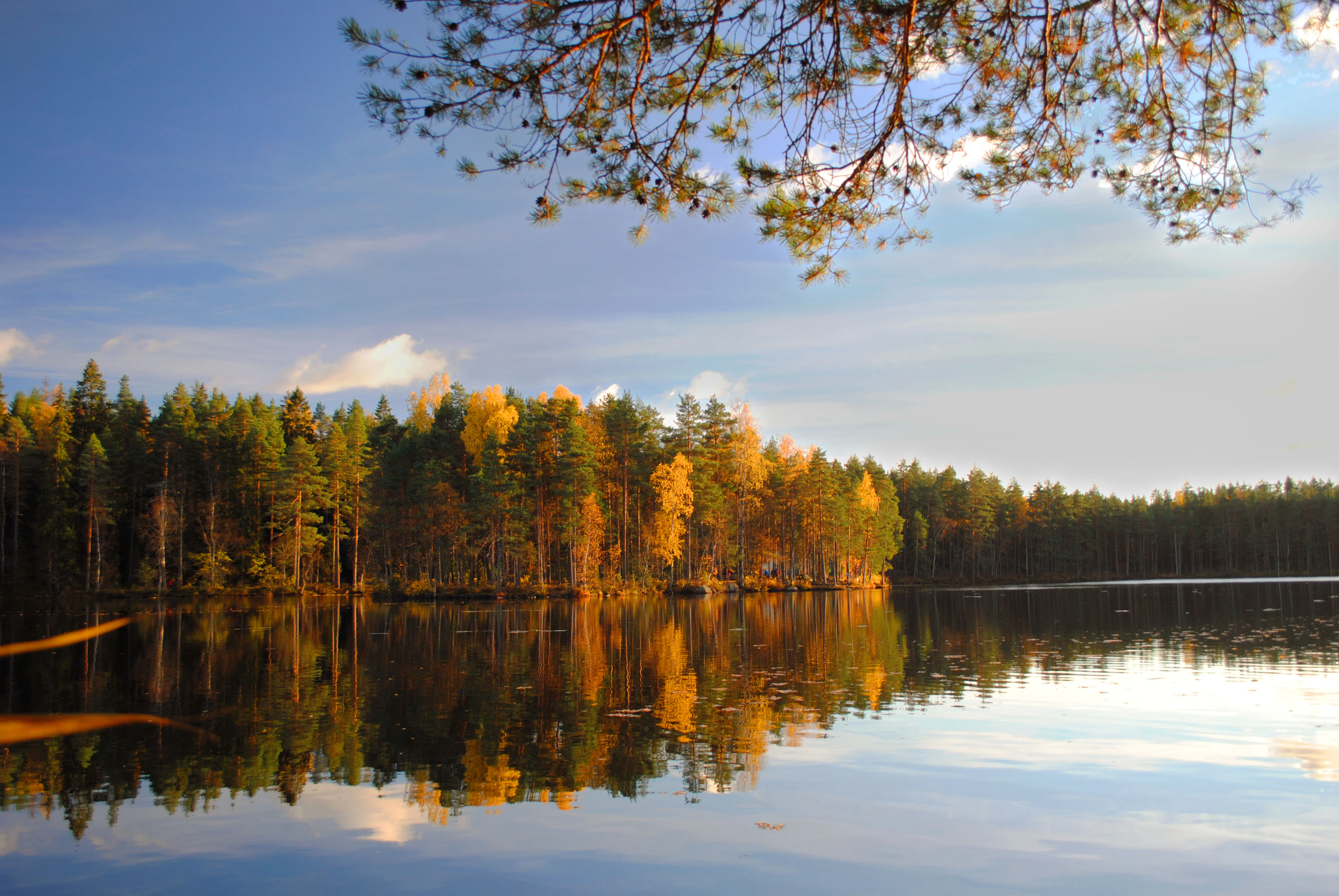 Calm lake reflecting forested shoreline with autumn-colored trees under partly cloudy sky