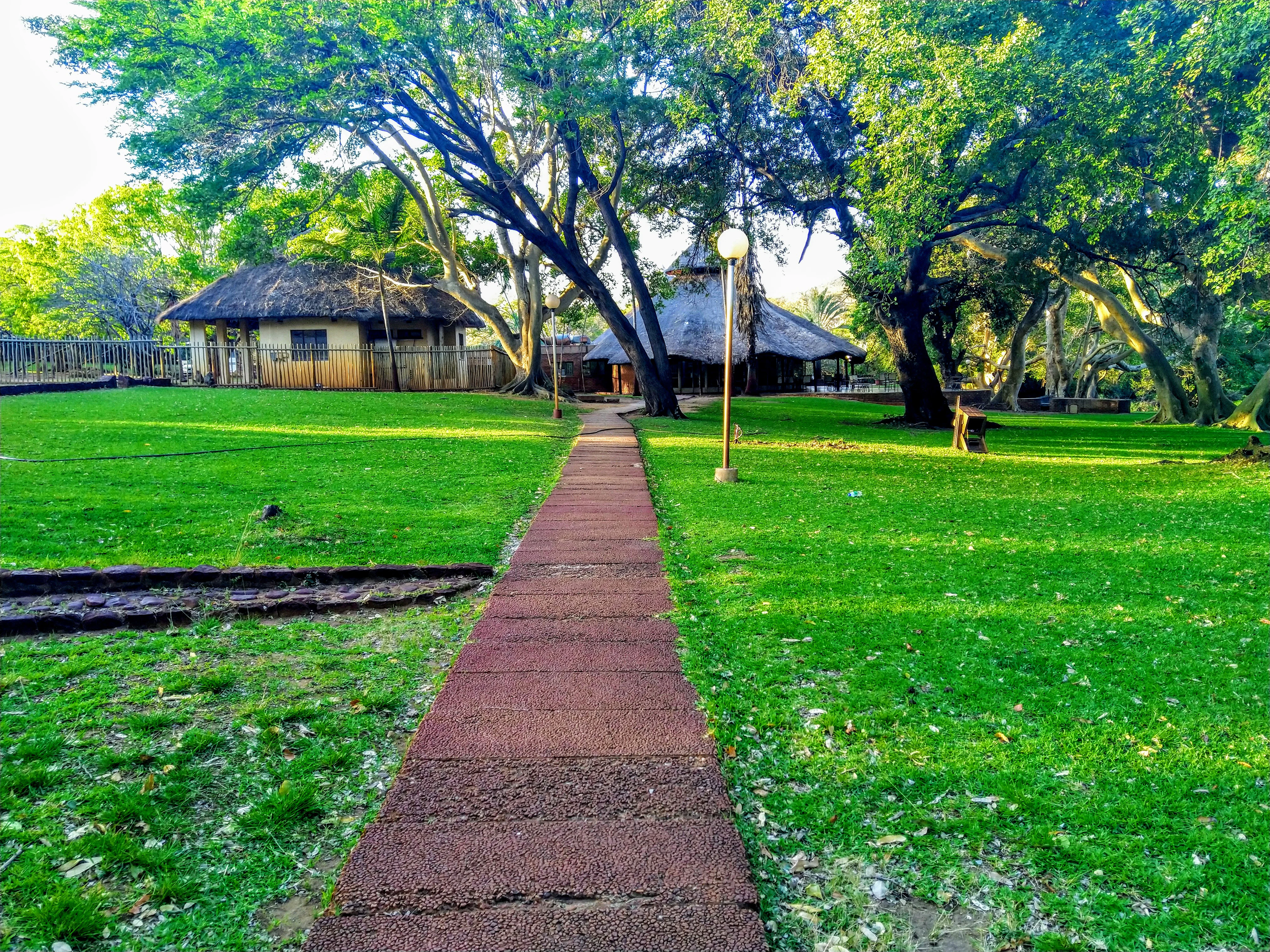 A paved walkway extends through a green lawn shaded by large trees, leading to thatched-roof resort buildings.