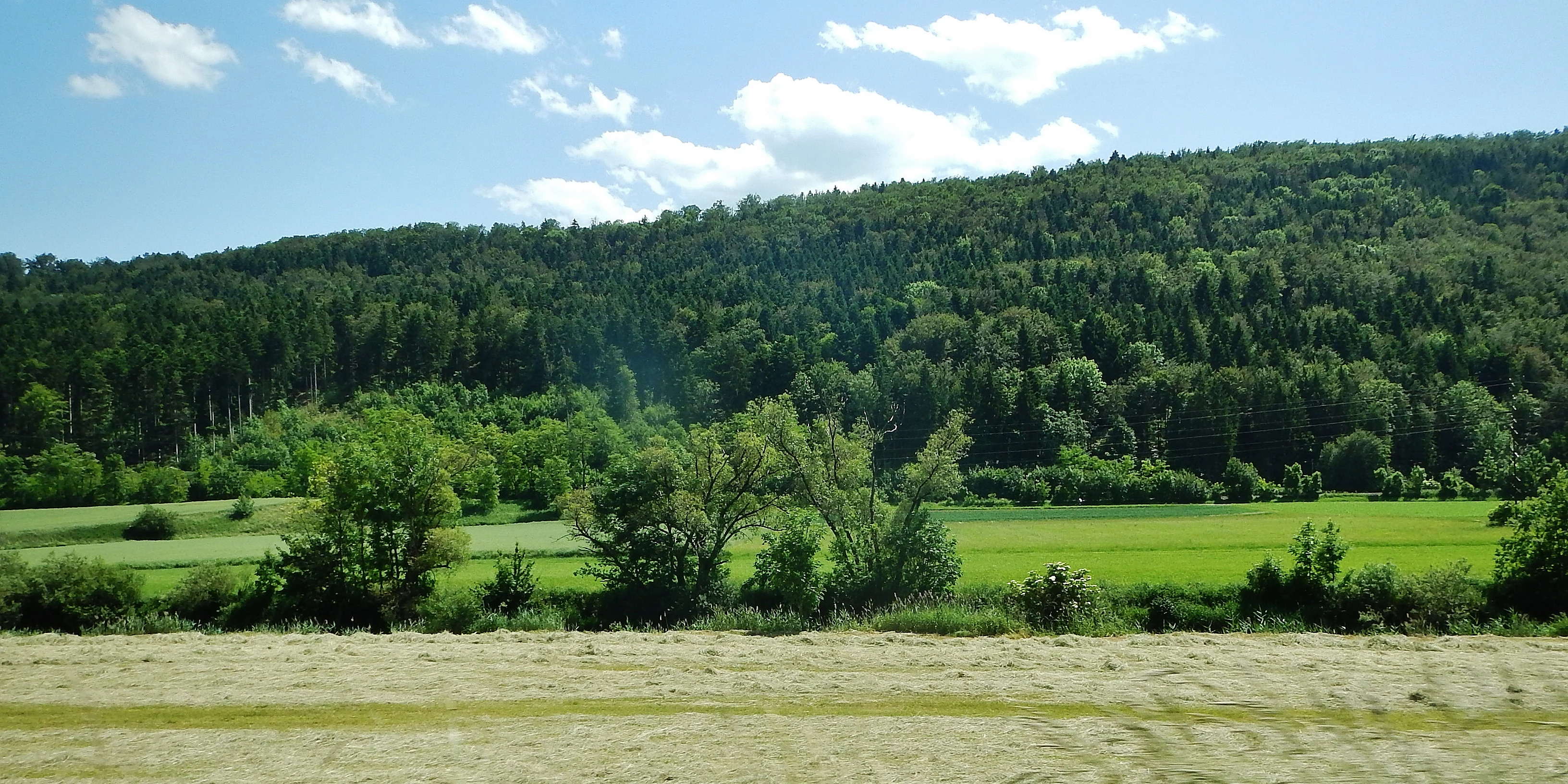 A wide view of a green valley with a foreground of mown hay, lush green fields, and a dense forested hillside in the background under a blue sky with light clouds.