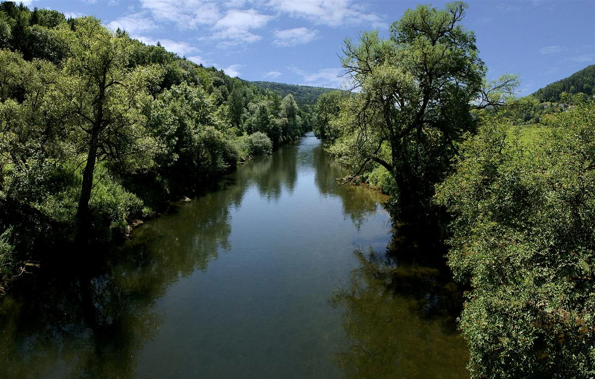 A wide, calm river flowing through a forested valley under a blue sky with scattered white clouds.