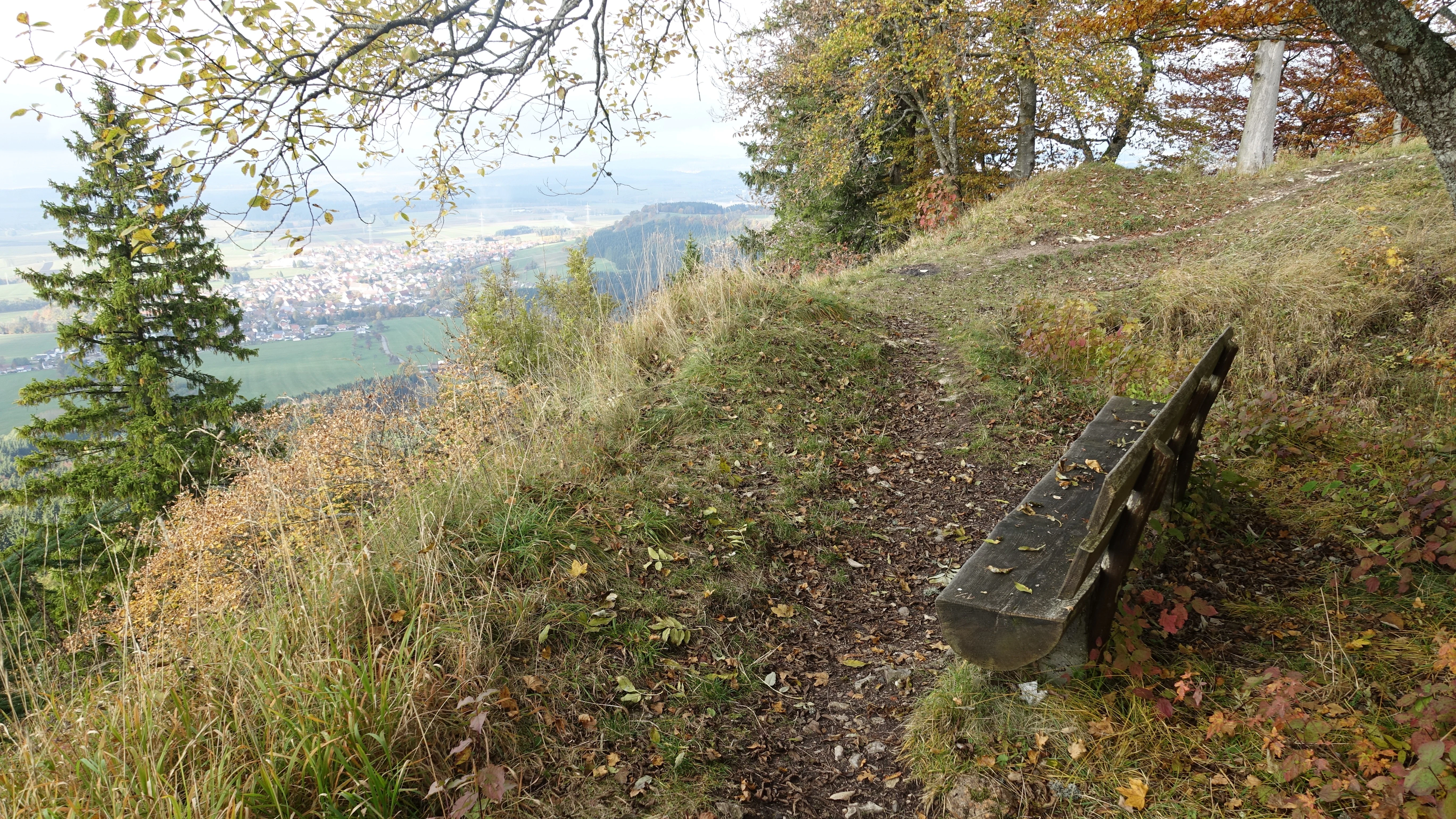 A weathered wooden bench sits on a grassy ridge near a steep drop-off at the summit of Oberhohenberg, with a distant view of a town in the valley below and autumn-colored trees overhead.