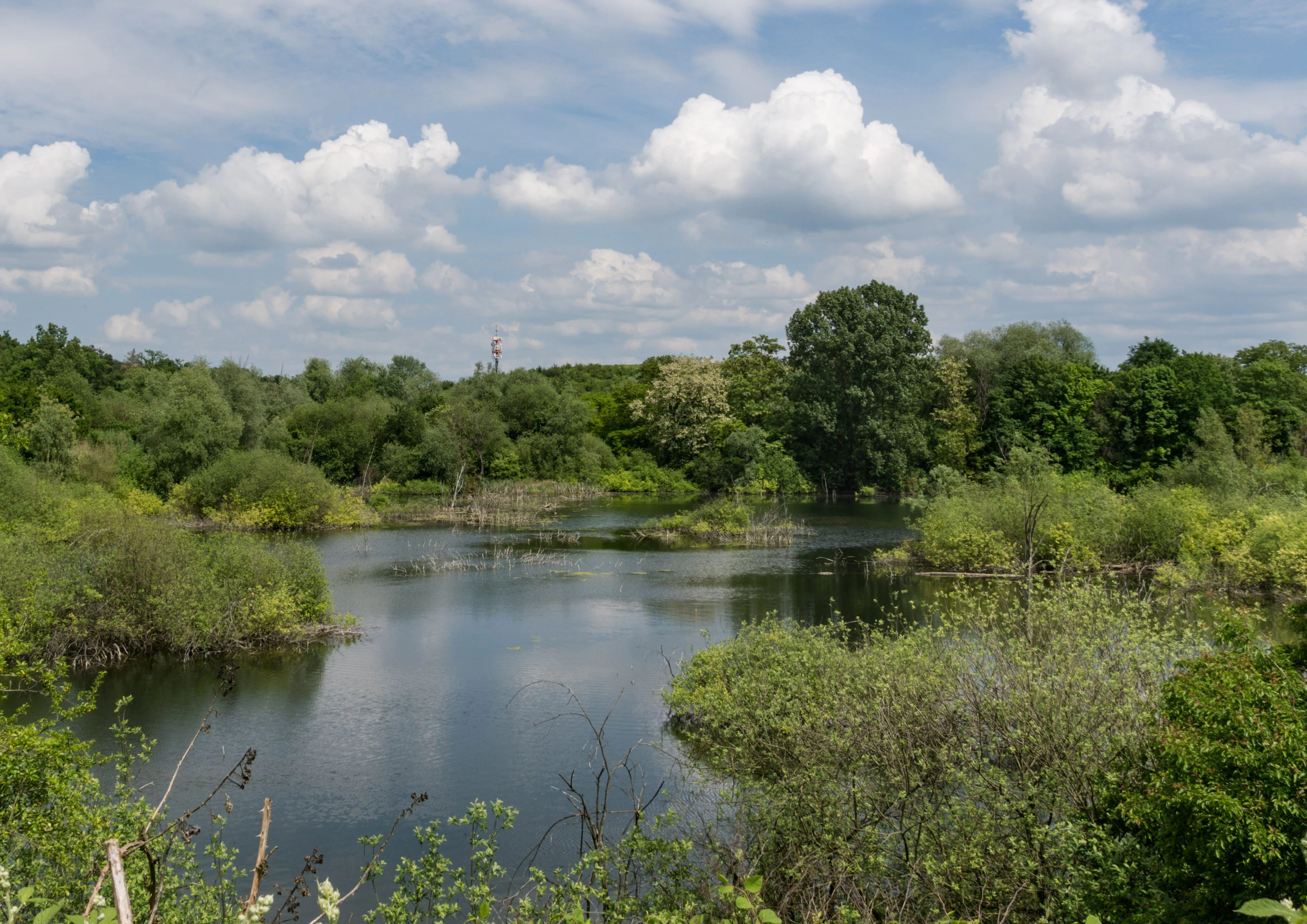 A peaceful pond surrounded by lush green trees and shrubs under a cloudy blue sky, with a radio mast visible in the distance.