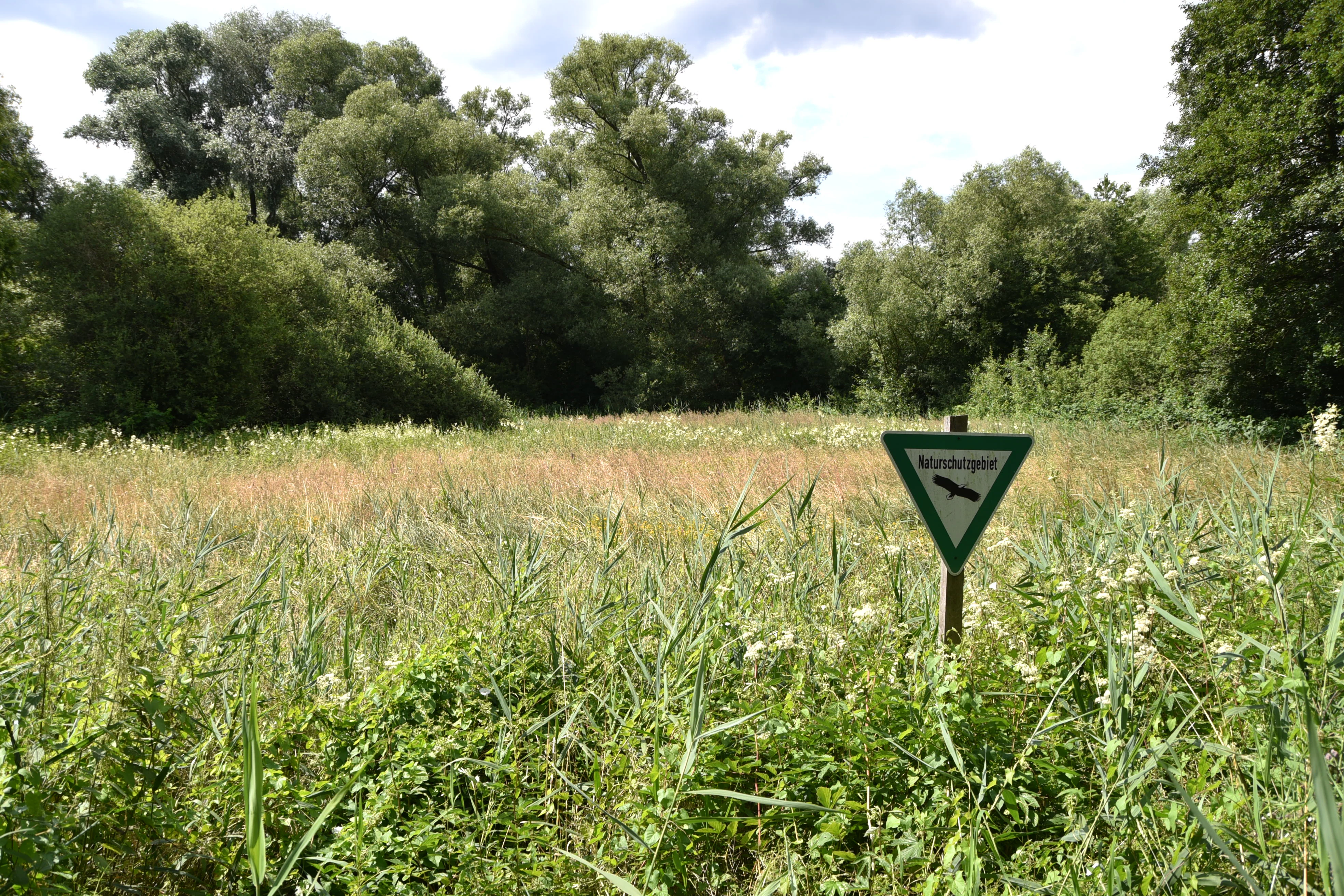 A triangular green and white nature reserve sign on a wooden post in front of a field of tall grass and trees.