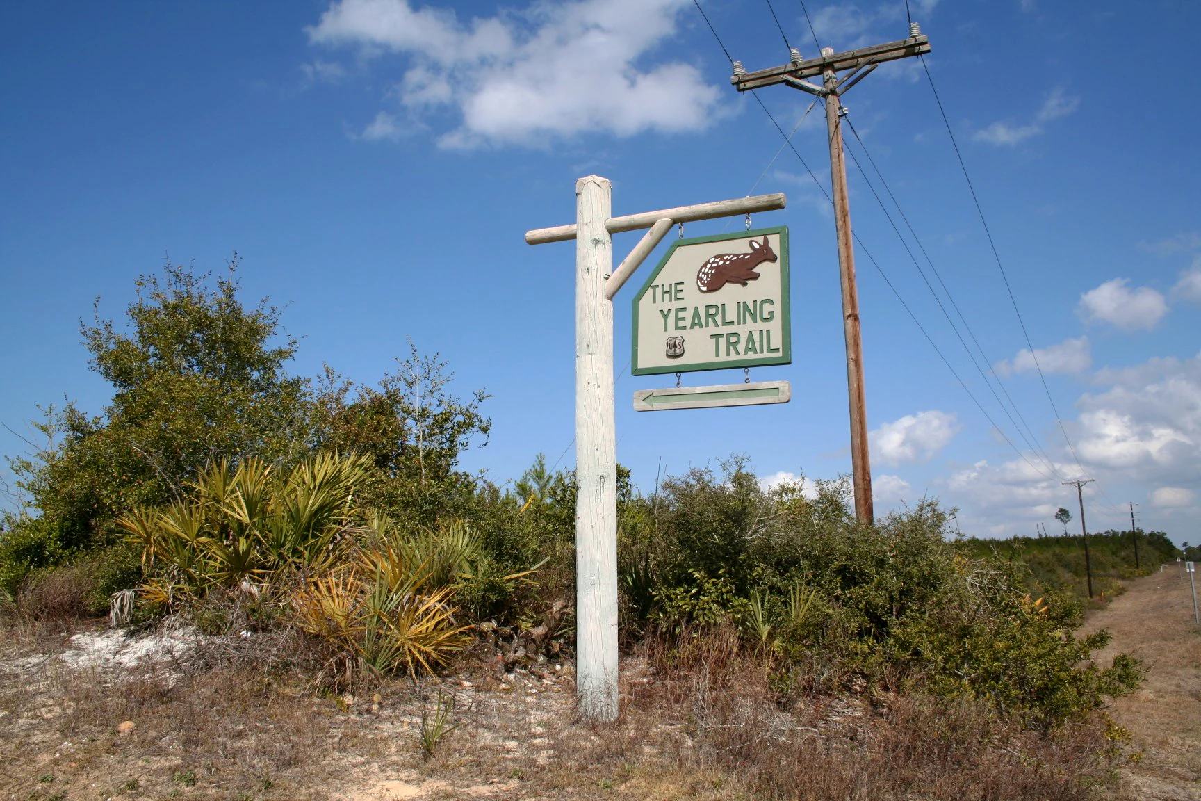 A wooden post holds a rectangular sign for The Yearling Trail, featuring an illustration of a deer; a utility pole stands behind the sign against a clear blue sky.
