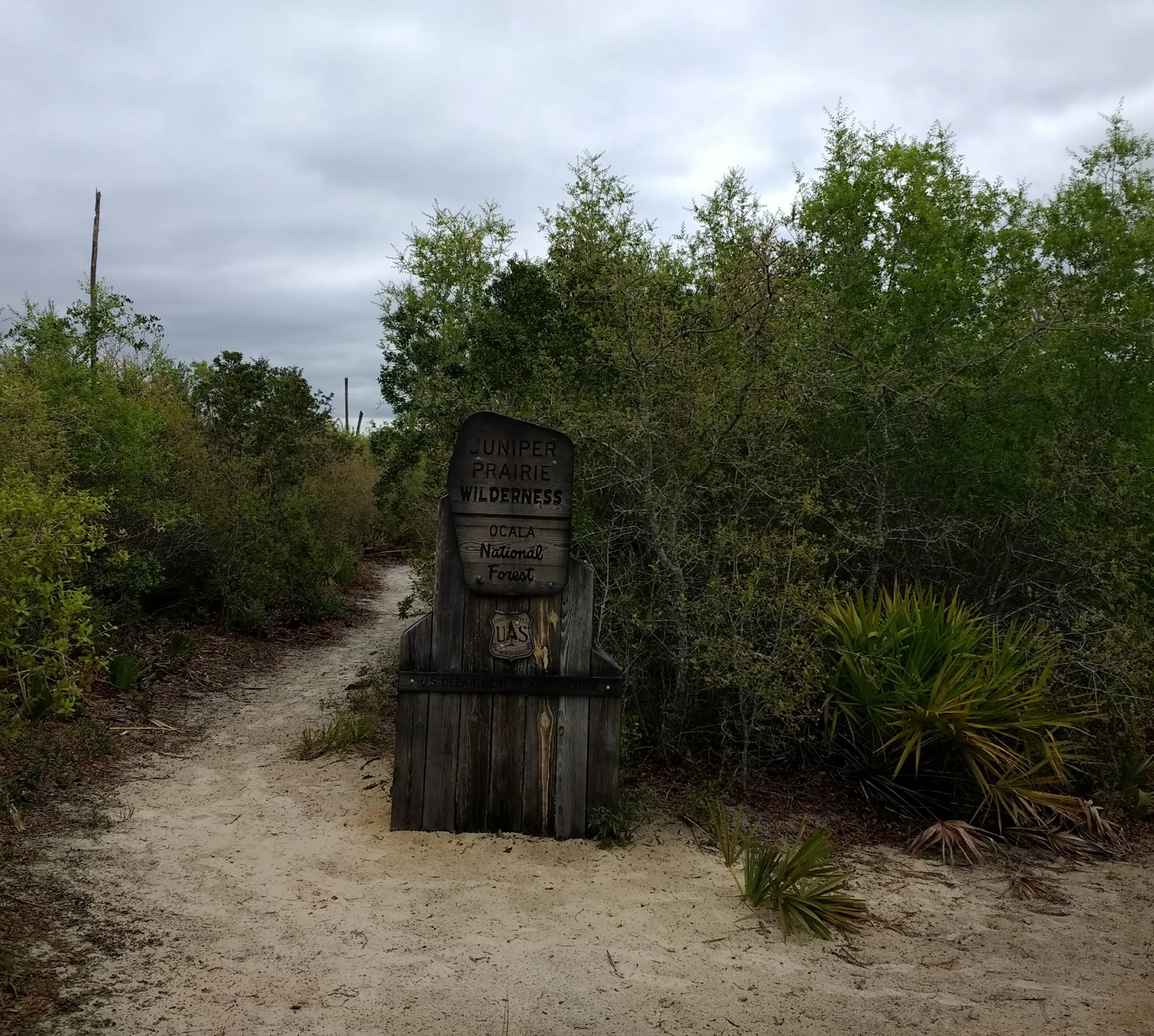 A rustic wooden signpost marks the entrance to a sandy trail in a dense, green forest.