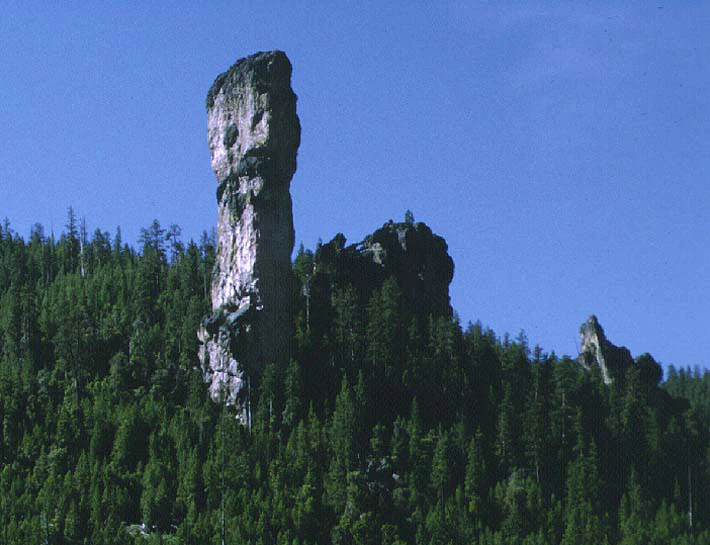 Una alta columna de roca vertical, conocida como Steins Pillar, se alza prominente sobre una ladera cubierta de bosque perenne bajo un cielo azul despejado.