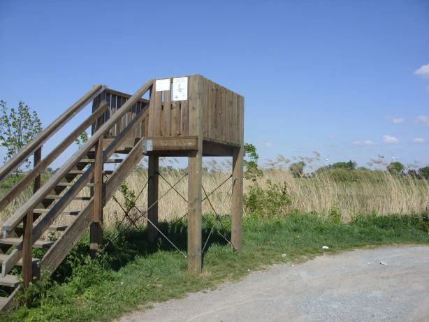 Una plataforma de observación elevada de madera con una escalera situada en una zona de humedal cubierta de hierba, bajo un cielo azul despejado.