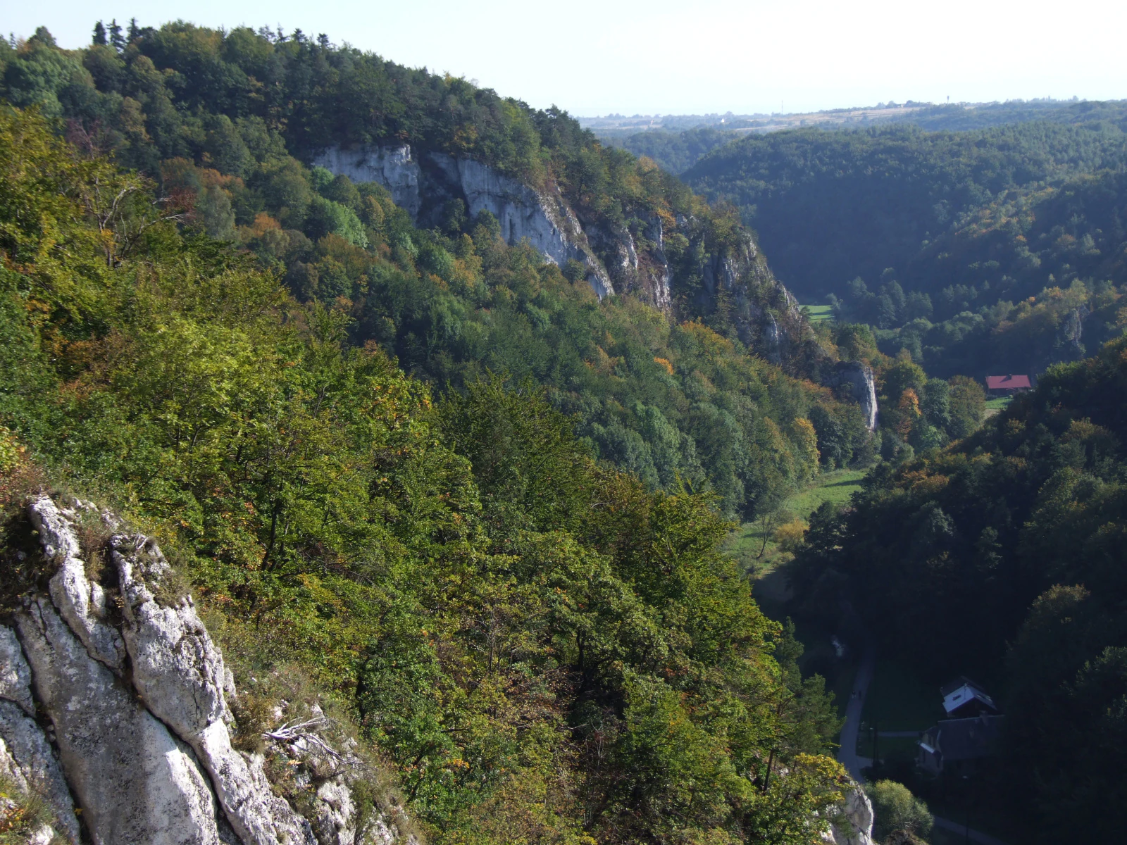 Wide landscape view showing limestone cliffs on left, forested hillsides, and valley floor with winding road
