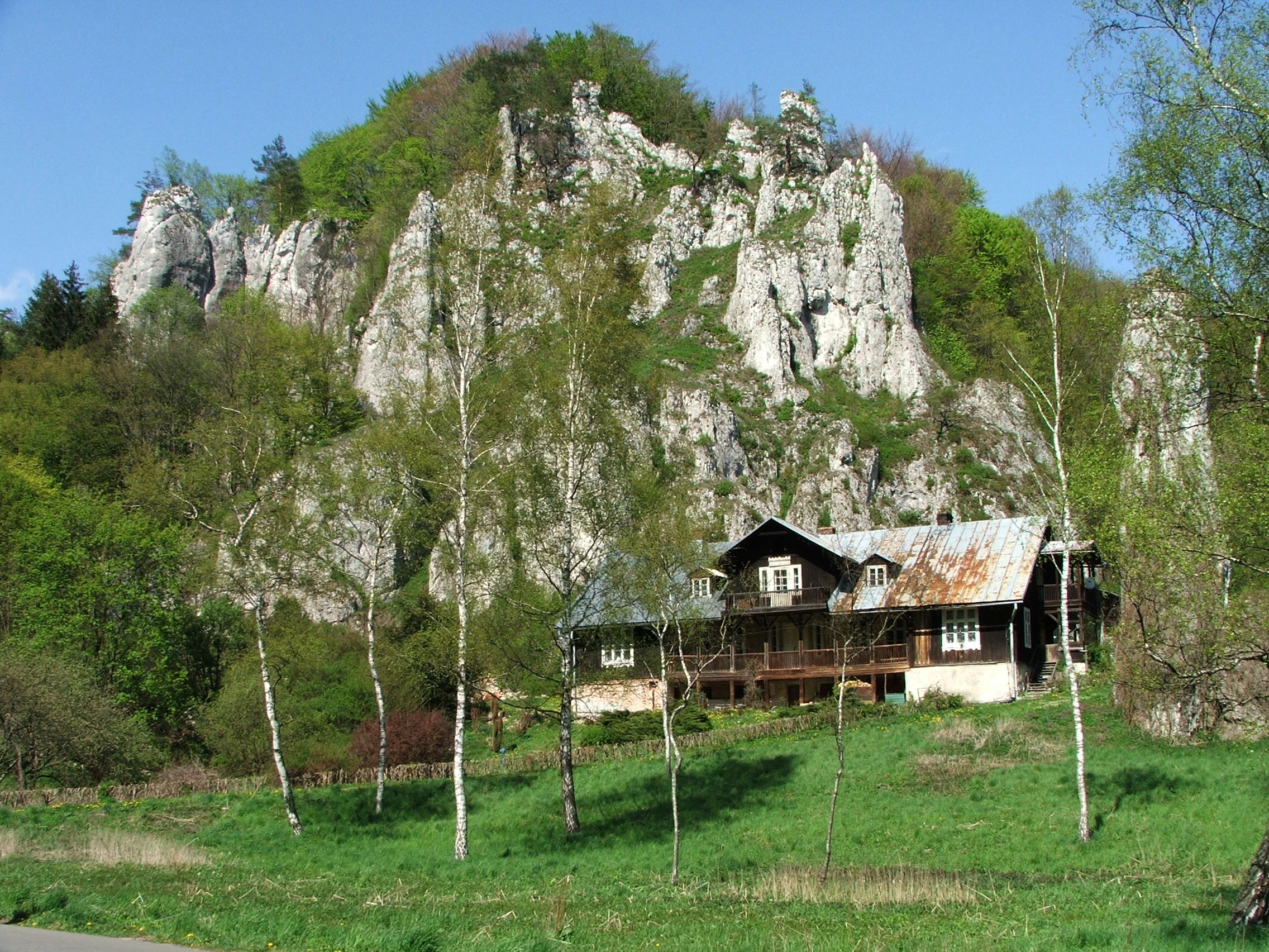 Wooden house with rusted metal roof surrounded by green meadows and birch trees, with limestone cliffs in the background under a clear blue sky.