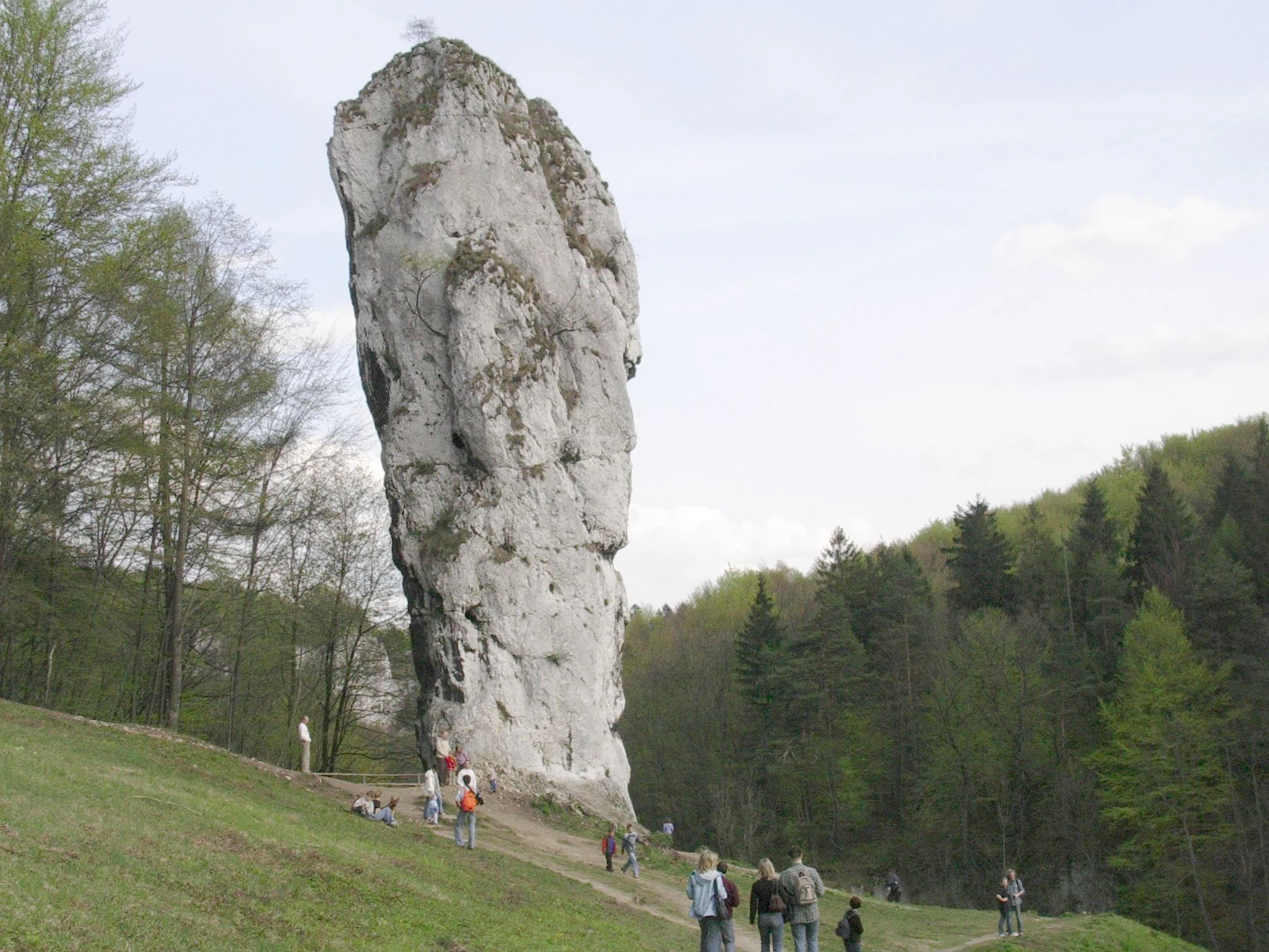 Maczuga Herkulesa from Pieskowa Skala Castle