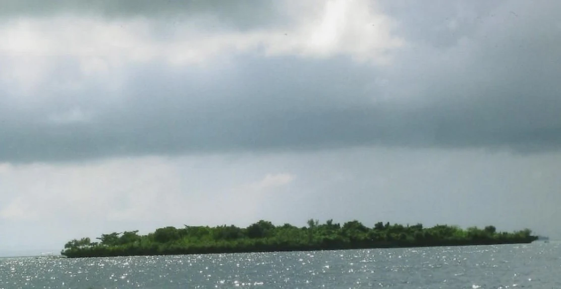 A small, low-lying island covered in dense green vegetation sits in the middle of calm water under a cloudy, overcast sky.