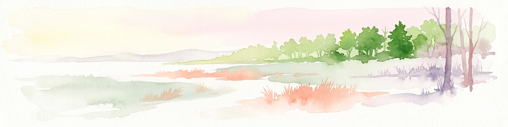 A soft watercolor painting depicting a marshy landscape with trees, grasses, and a body of water in a pale, airy style.