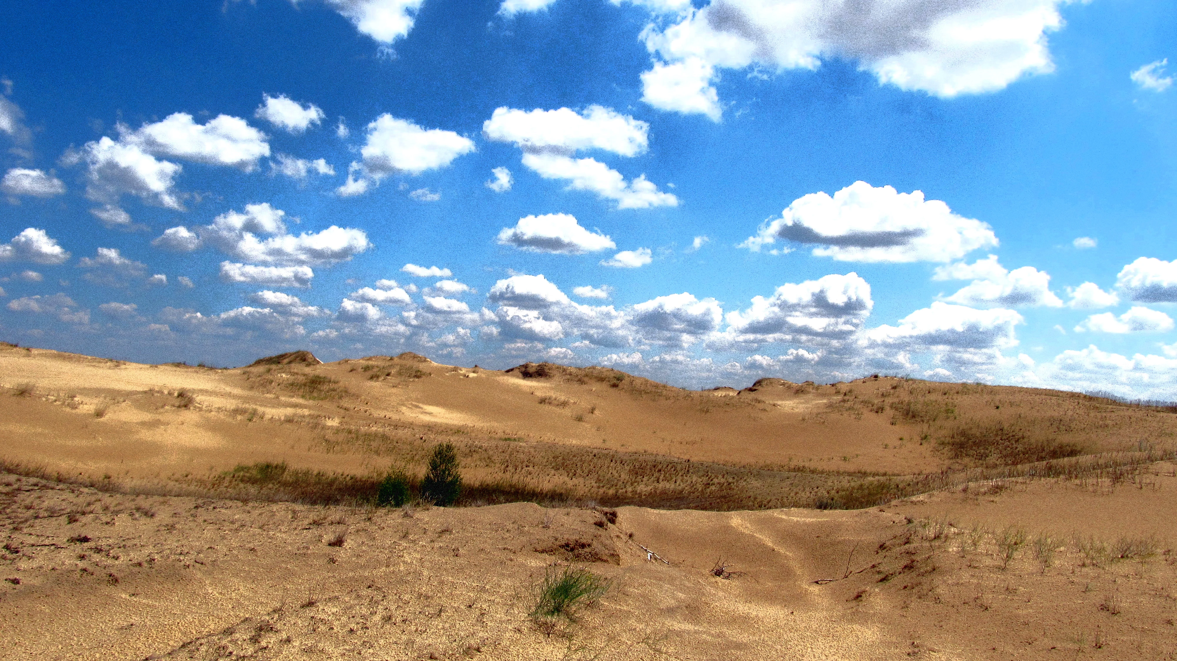 A wide view of sandy dunes with sparse vegetation under a blue sky with scattered clouds