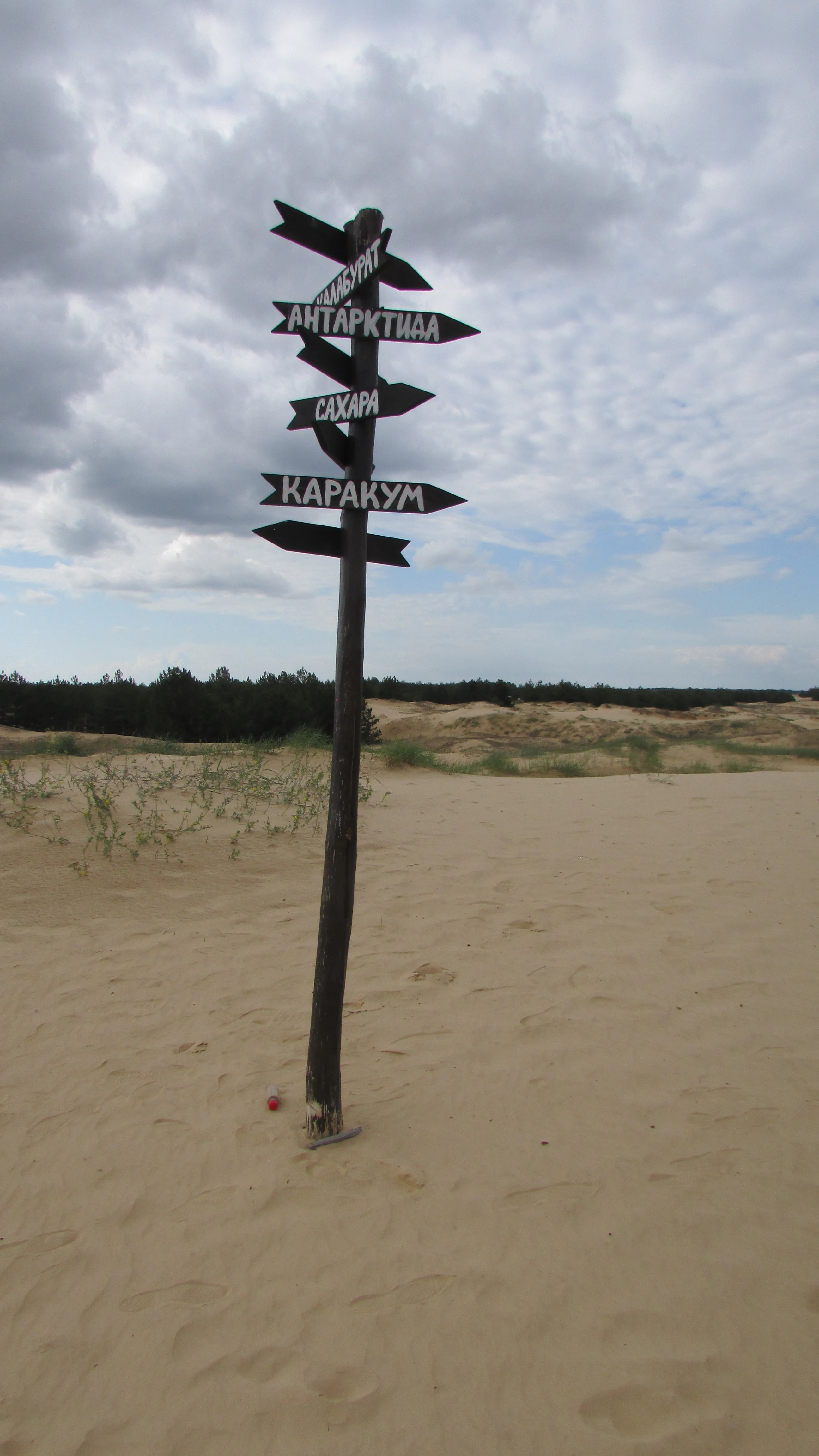 Wooden signpost with multiple directional arrows displaying text in Cyrillic script, situated in a sandy landscape with sparse vegetation and dunes under a cloudy sky