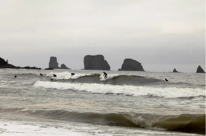 Several surfers on surfboards riding small waves in the ocean with large sea stacks visible on the horizon under an overcast sky.