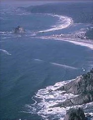 An aerial view of the Pacific Ocean meeting a rocky, forested coastline with waves crashing against shore cliffs.