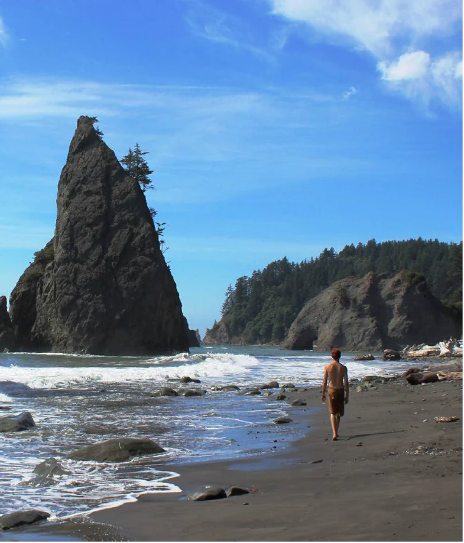 A person walks on a dark sand beach with large sea stacks and forested cliffs in the background under a blue sky.