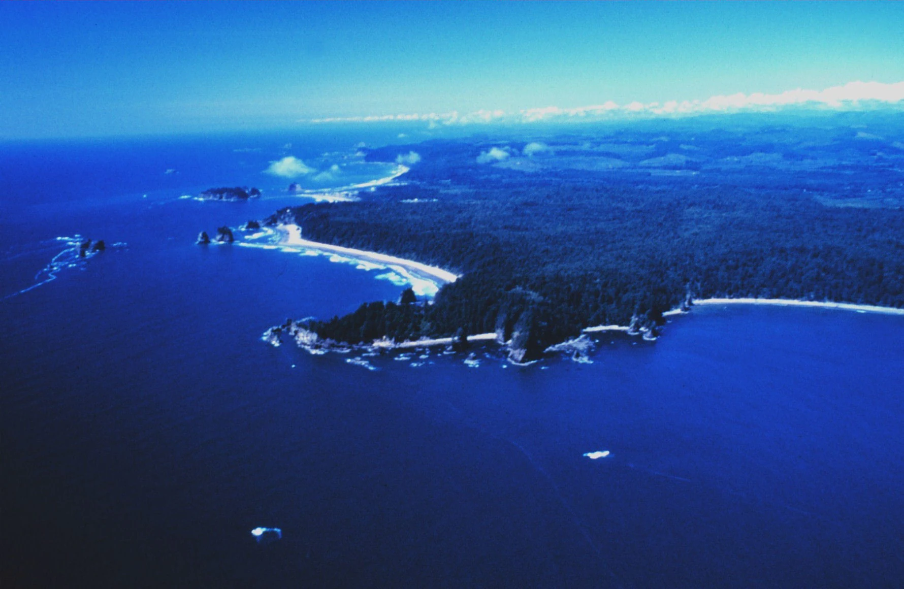 An aerial shot of a forested Pacific coastline meeting the ocean, with sea stacks visible in the water near a rocky headland.