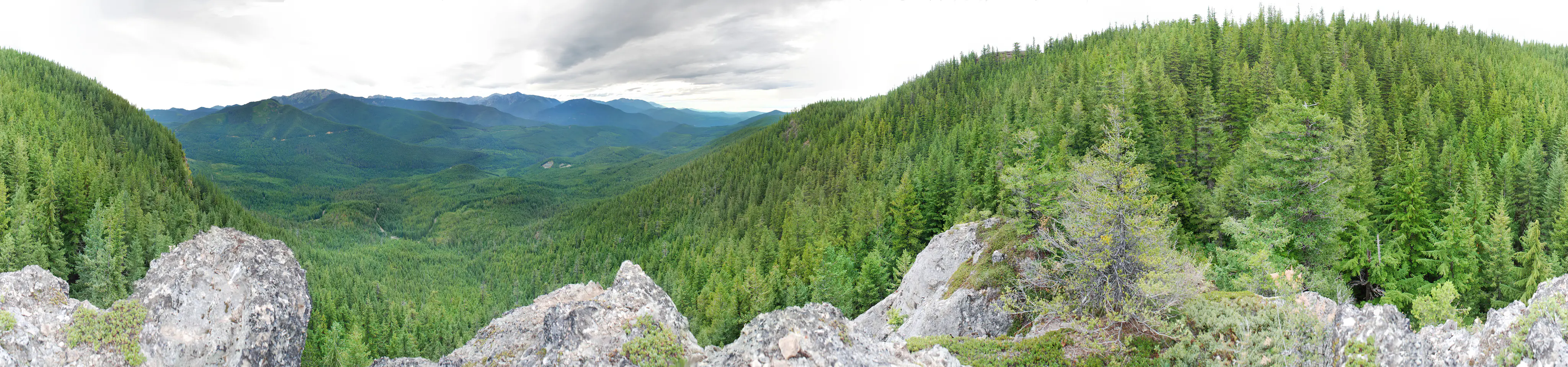 Panoramic landscape view from a rocky outcrop overlooking a dense coniferous forest valley under a cloudy sky.