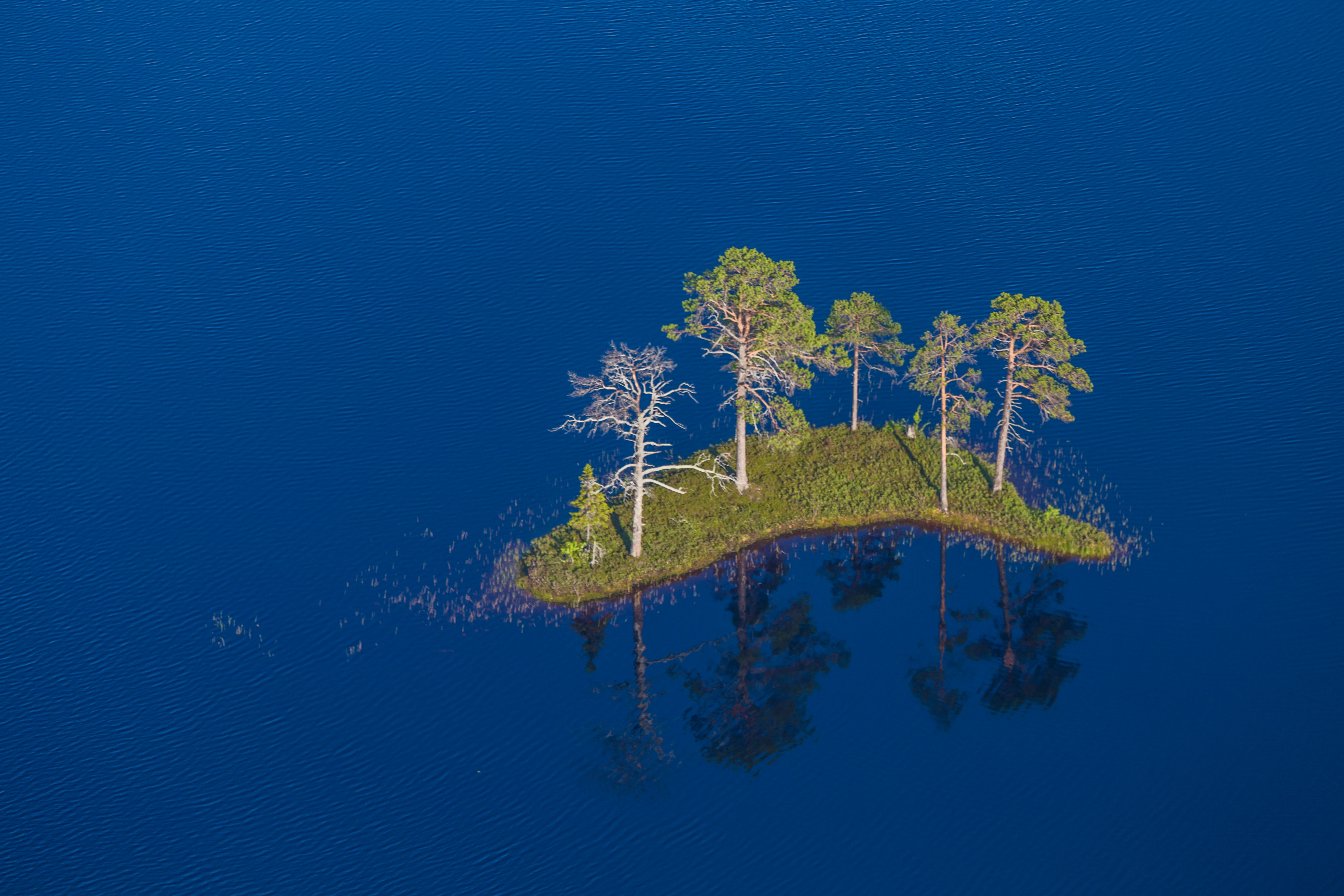 Una vista aérea de una pequeña isla con varios pinos flotando en aguas oscuras y tranquilas.