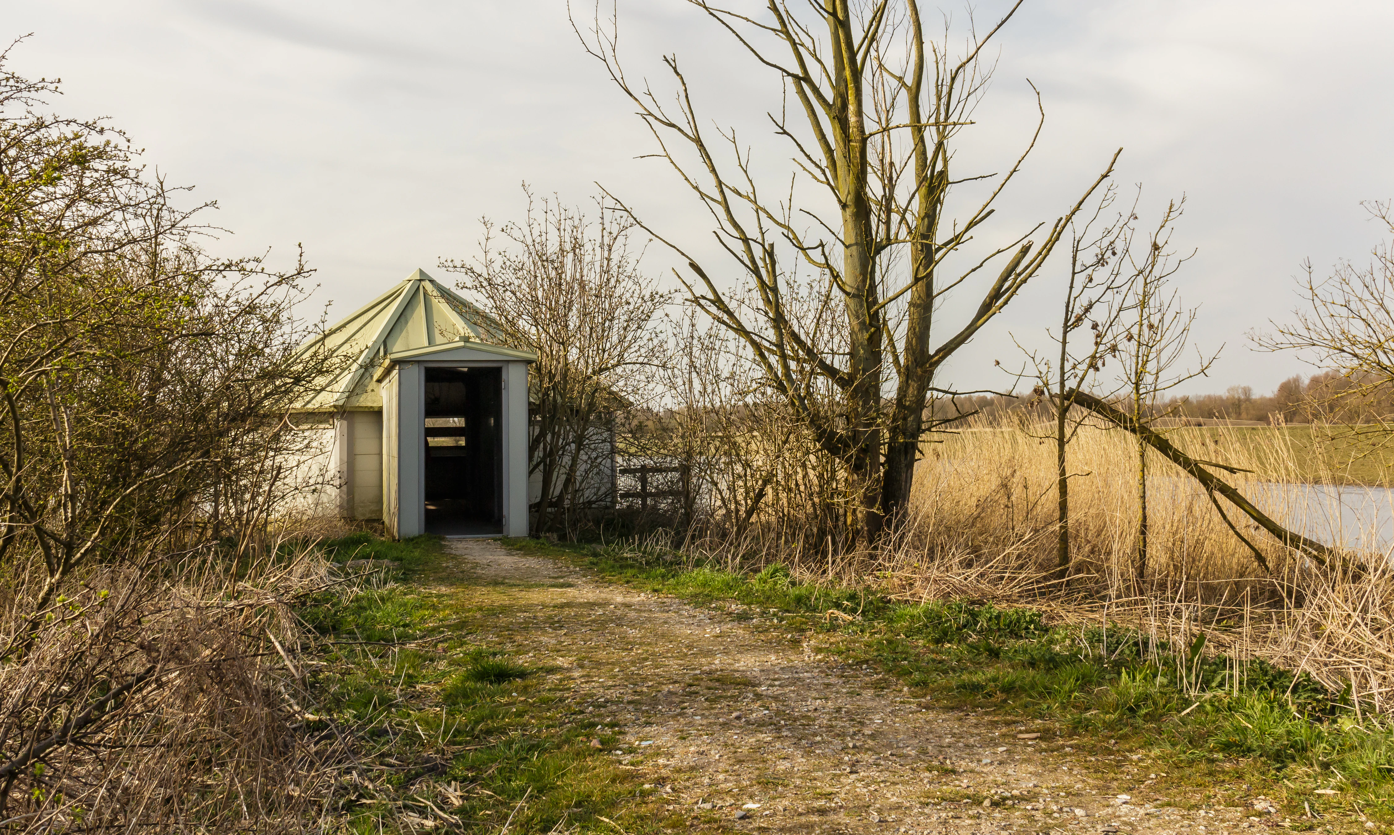 A small hexagonal bird-watching hide with a light-colored roof surrounded by shrubs, trees, and tall reeds near a water's edge.
